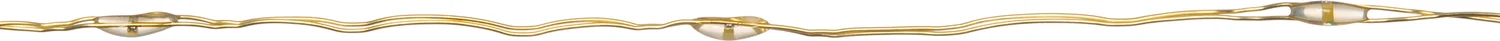 Anna's Collection draadverlichting goud met 20 lampjes warm wit 1 m