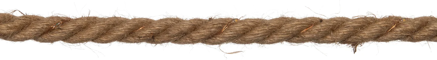 Anna's Collection draadverlichting touw met timer 20 lampjes extra warm 1,5 m