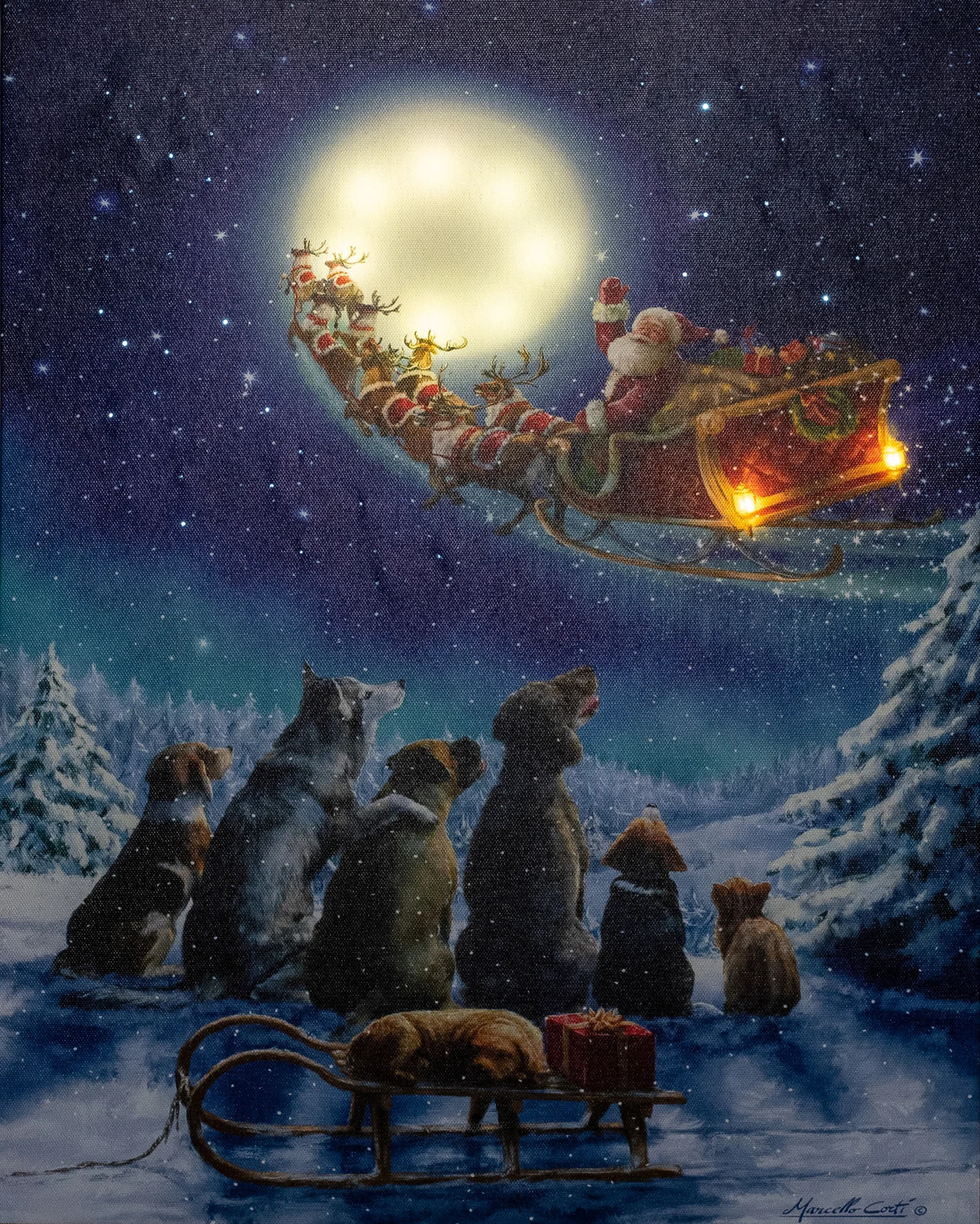 Anna's Collection canvas met LED verlichting Fino honden blauw 48 x 38 cm