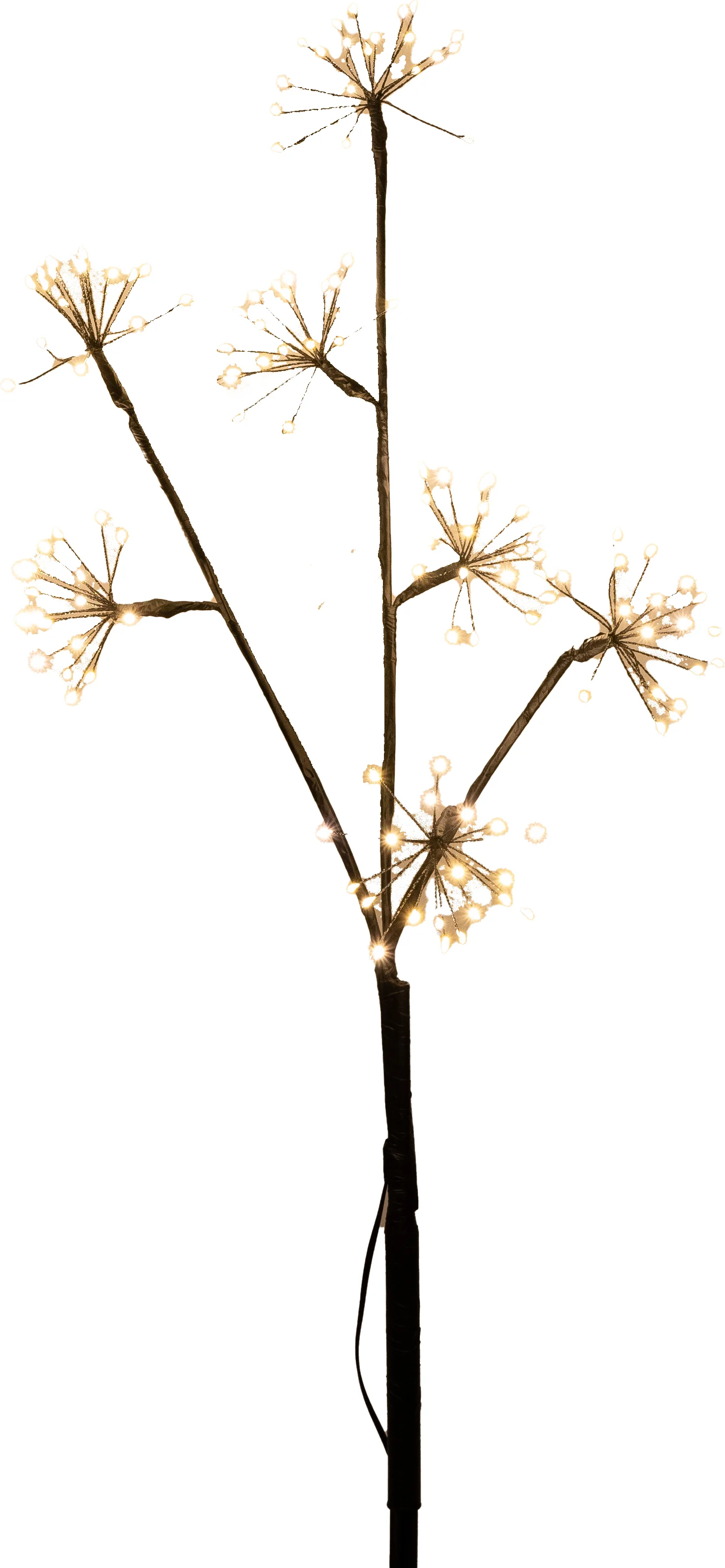 Anna's Collection kersttak met verlichtingdandelion zwart 6 x 8 x 67 cm