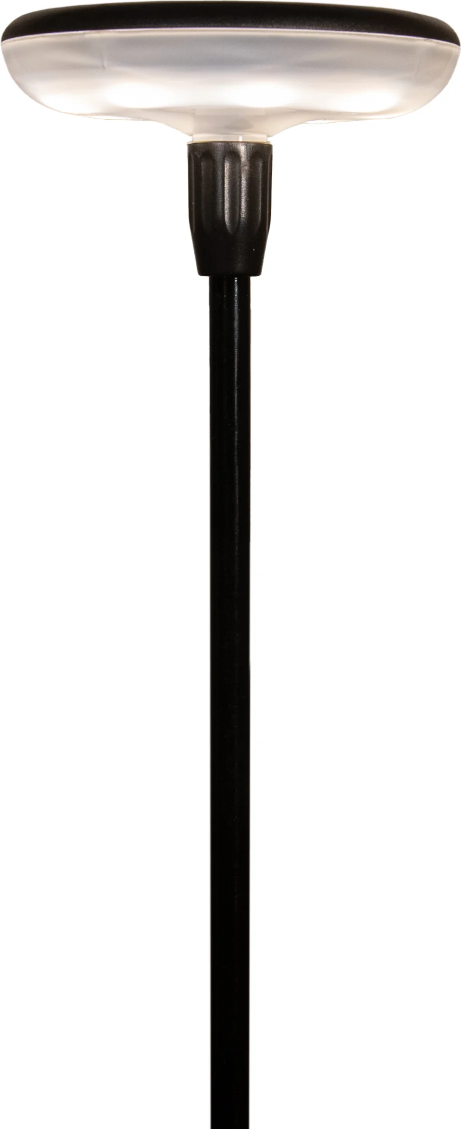 Anna's Collection tuinsteker Sway D 9 H 76 cm