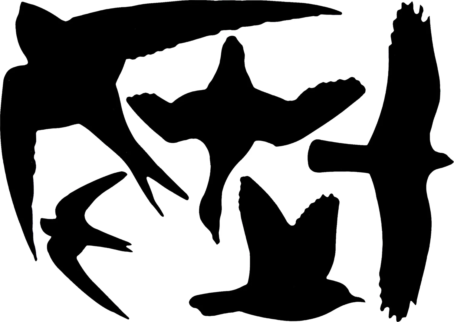 Best for Birds raamsticker vogels zwart 33 x 23 cm