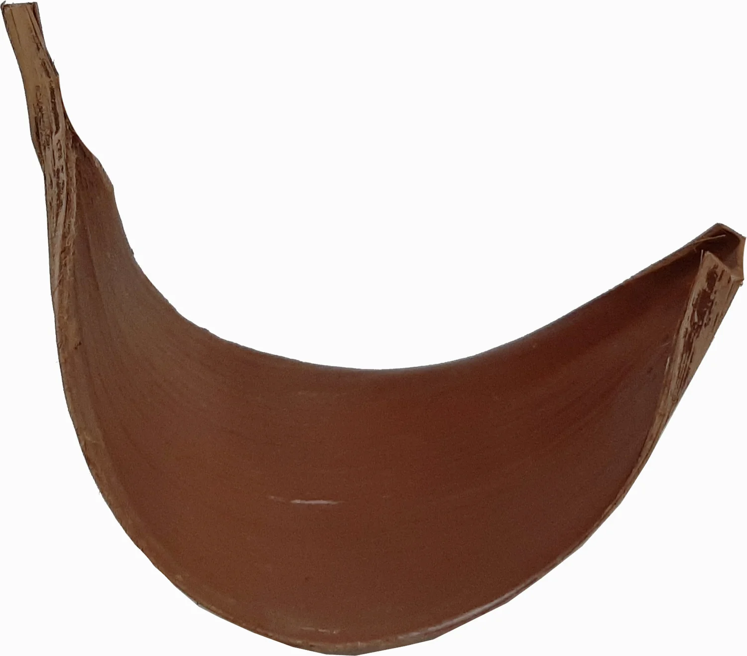 Decoratie blad Galara naturel 50 x 20 x 10 cm
