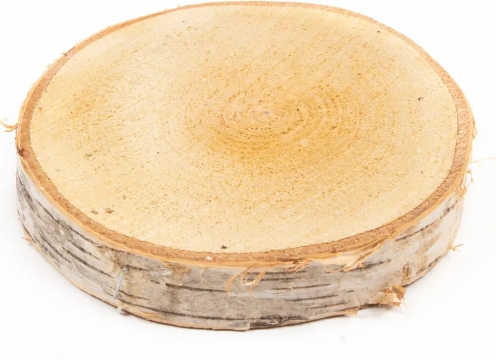 Decoratie boomstam berk D 33 H 5 cm