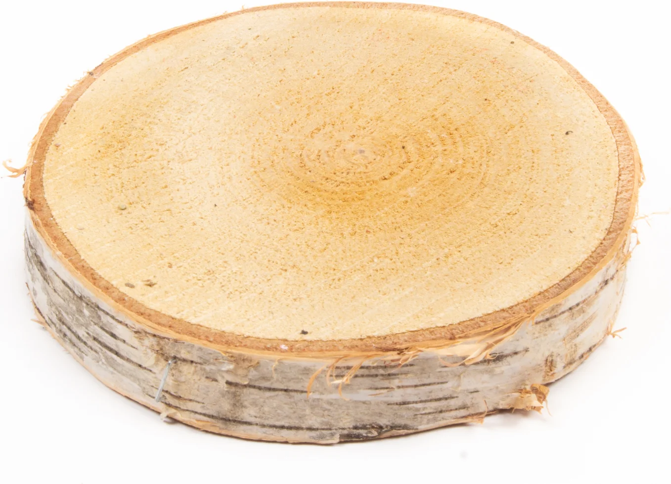 decoratie boomstammen berk  D 12 H 2 cm
