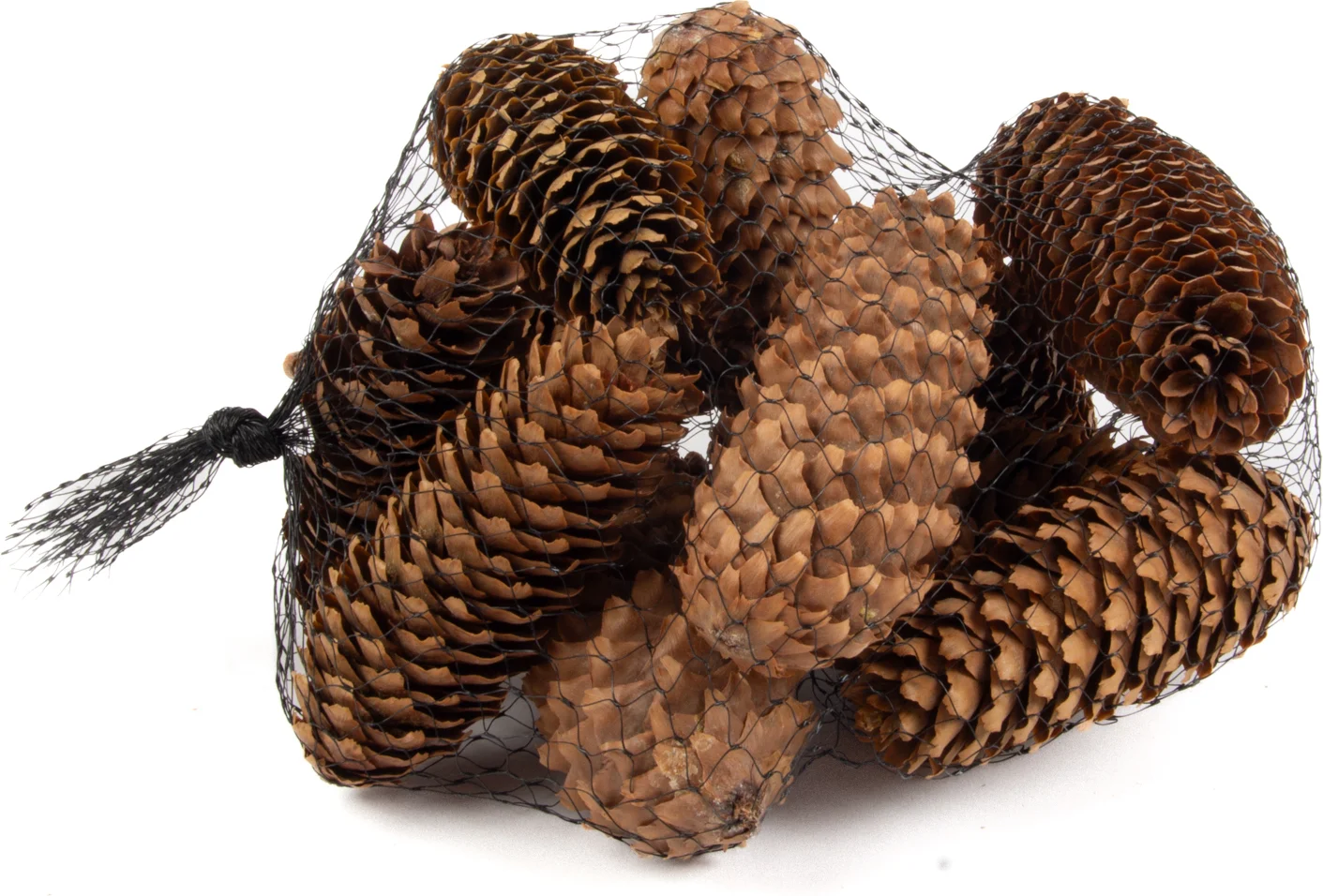 Dennenappels in net 30 g