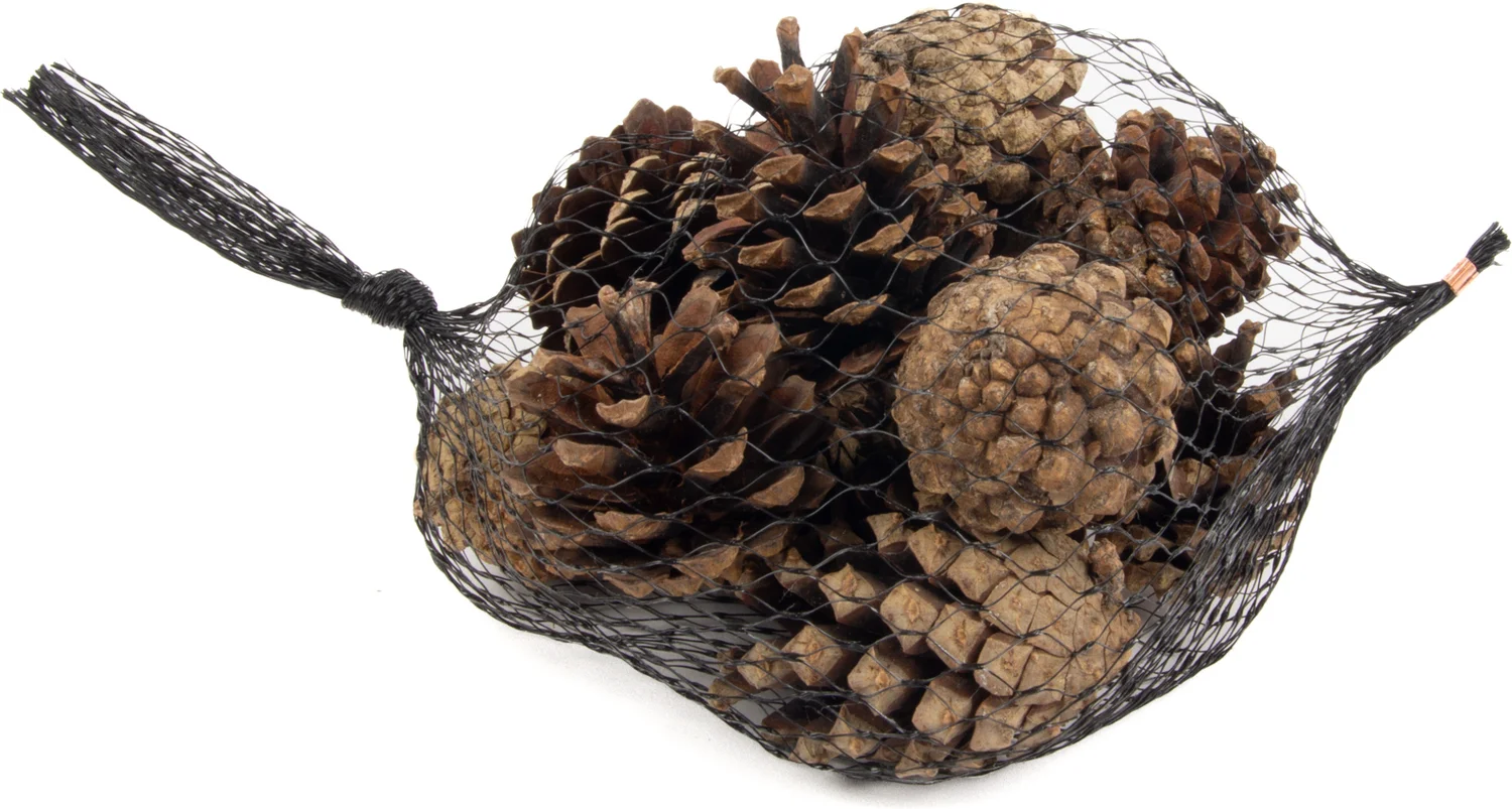 Dennenappels in net 80 g