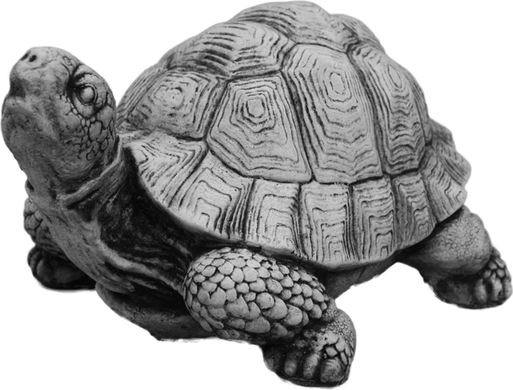 De Beeldengieterij tuinbeeld schildpad grijs 12 x 22 x 12 cm