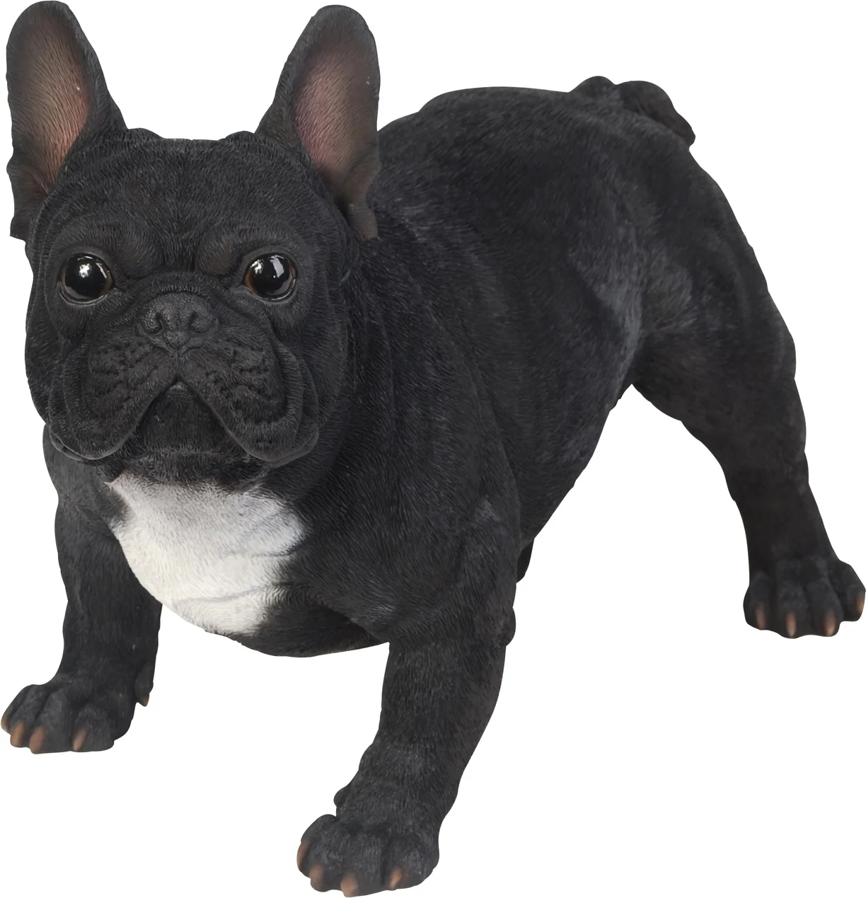 De Beeldengieterij tuinbeeld Barto franse bulldog zwart 50 x 26 x 35 cm