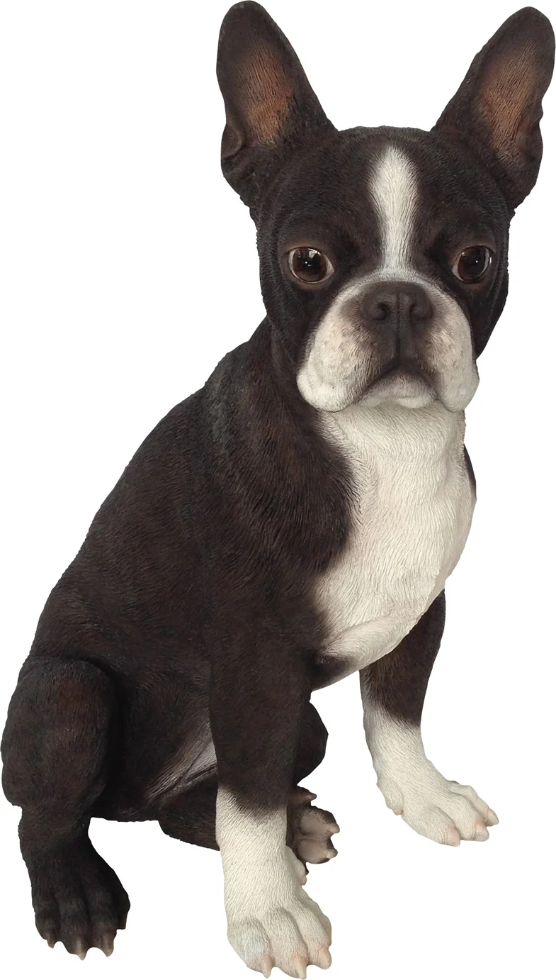 De Beeldengieterij tuinbeeld Barto boston terrier zwart / wit 25 x 26 x 41 cm