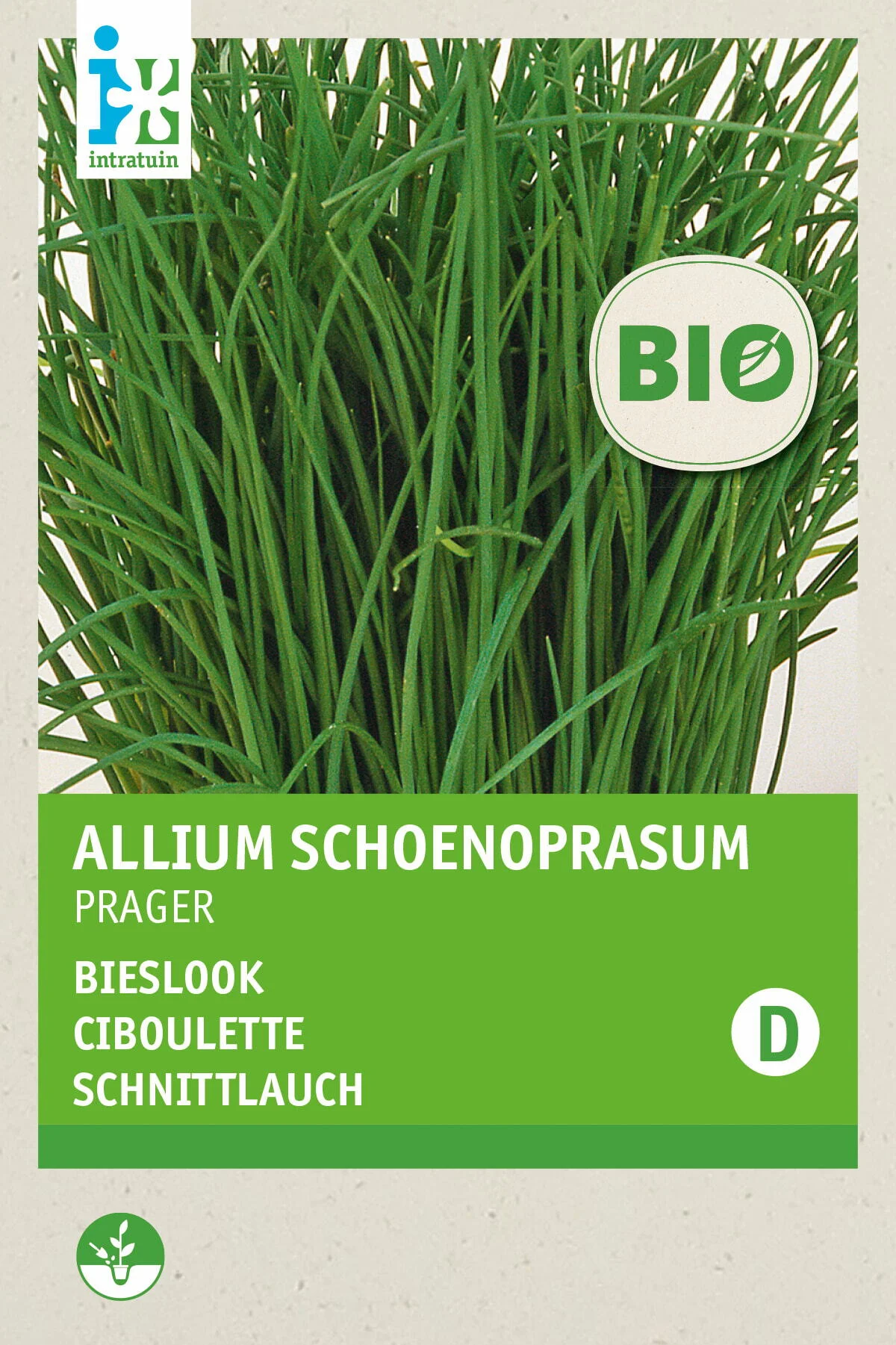 Biologische Intratuin kruidenzaad Bieslook (Allium schoenoprasum 'Prager')