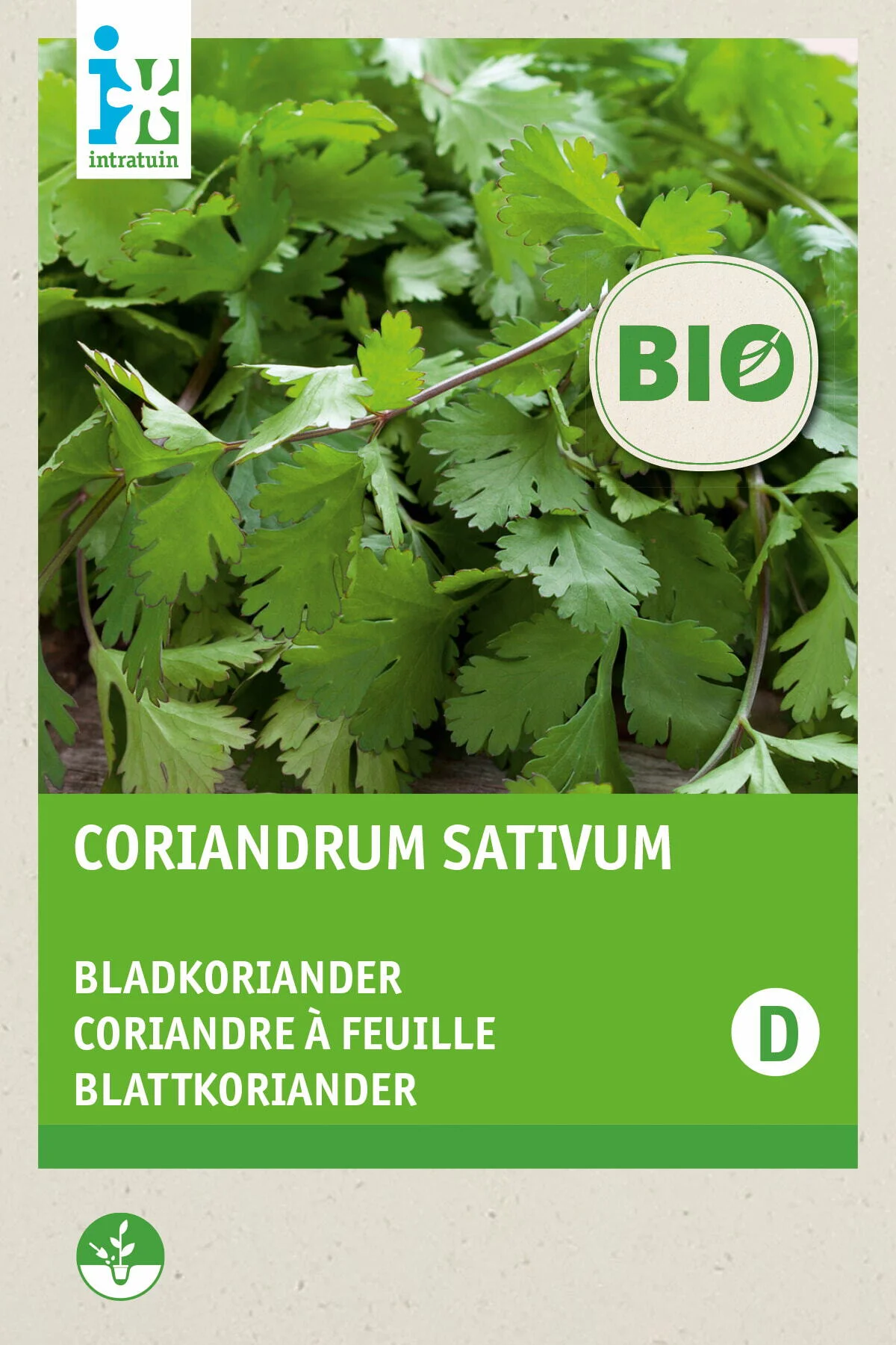 Biologische Intratuin kruidenzaad Koriander (Coriandrum sativum)