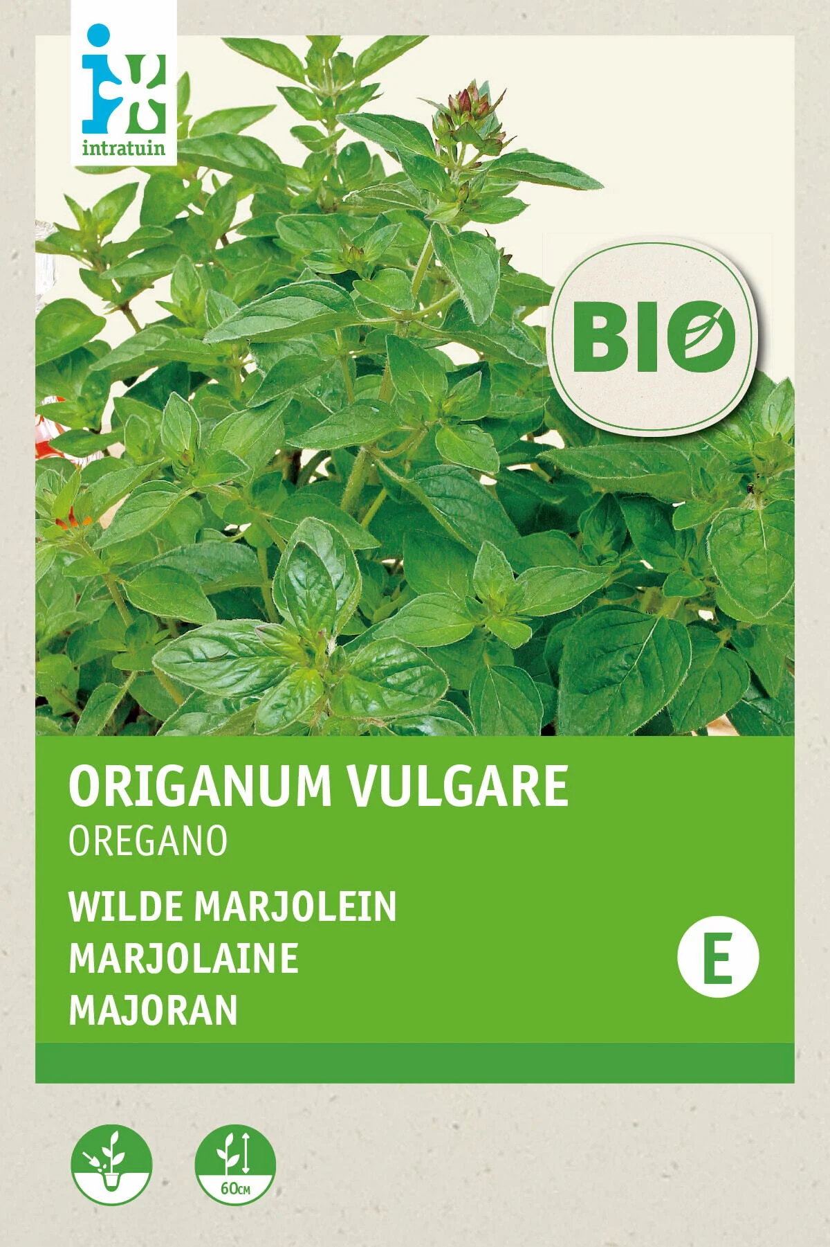 Biologische Intratuin kruidenzaad Wilde Marjolein (Origanum vulgare)