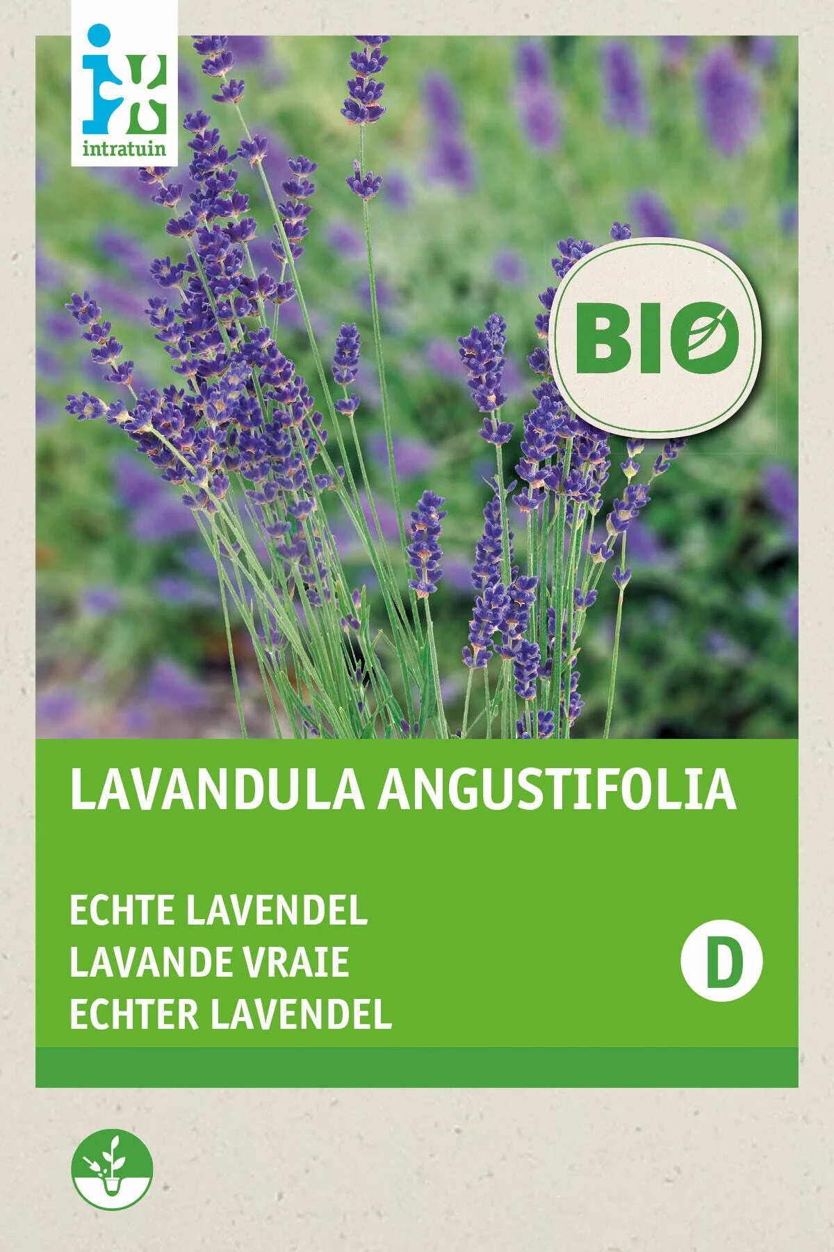 Biologische Intratuin bloemenzaad Lavendel (Lavendula angustifolia)