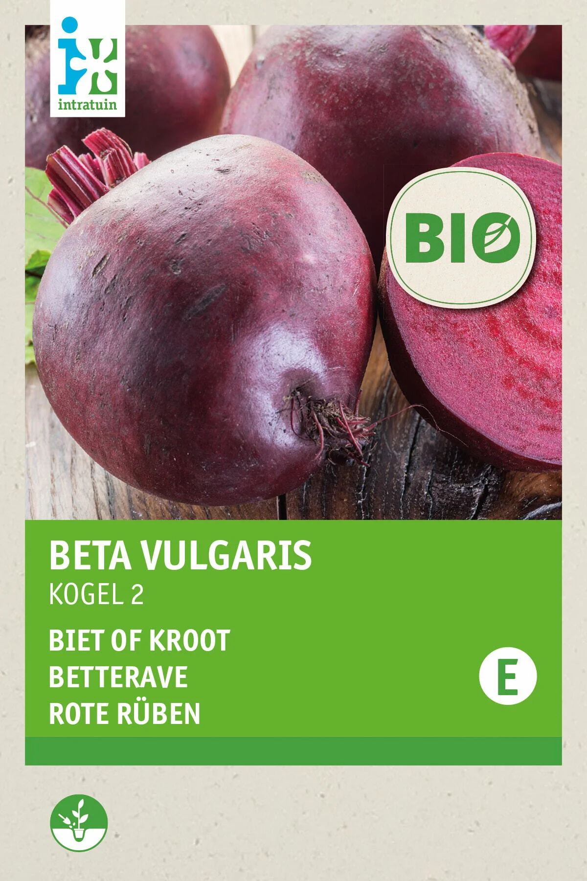 Biologische Intratuin groentezaad Bieten kogel (Beta vulgaris 'Detroit 2')