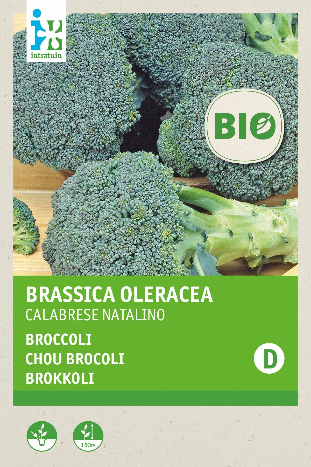 Biologische Intratuin groentezaad Broccoli (Brassica oleracea 'Calabrese Natalino')
