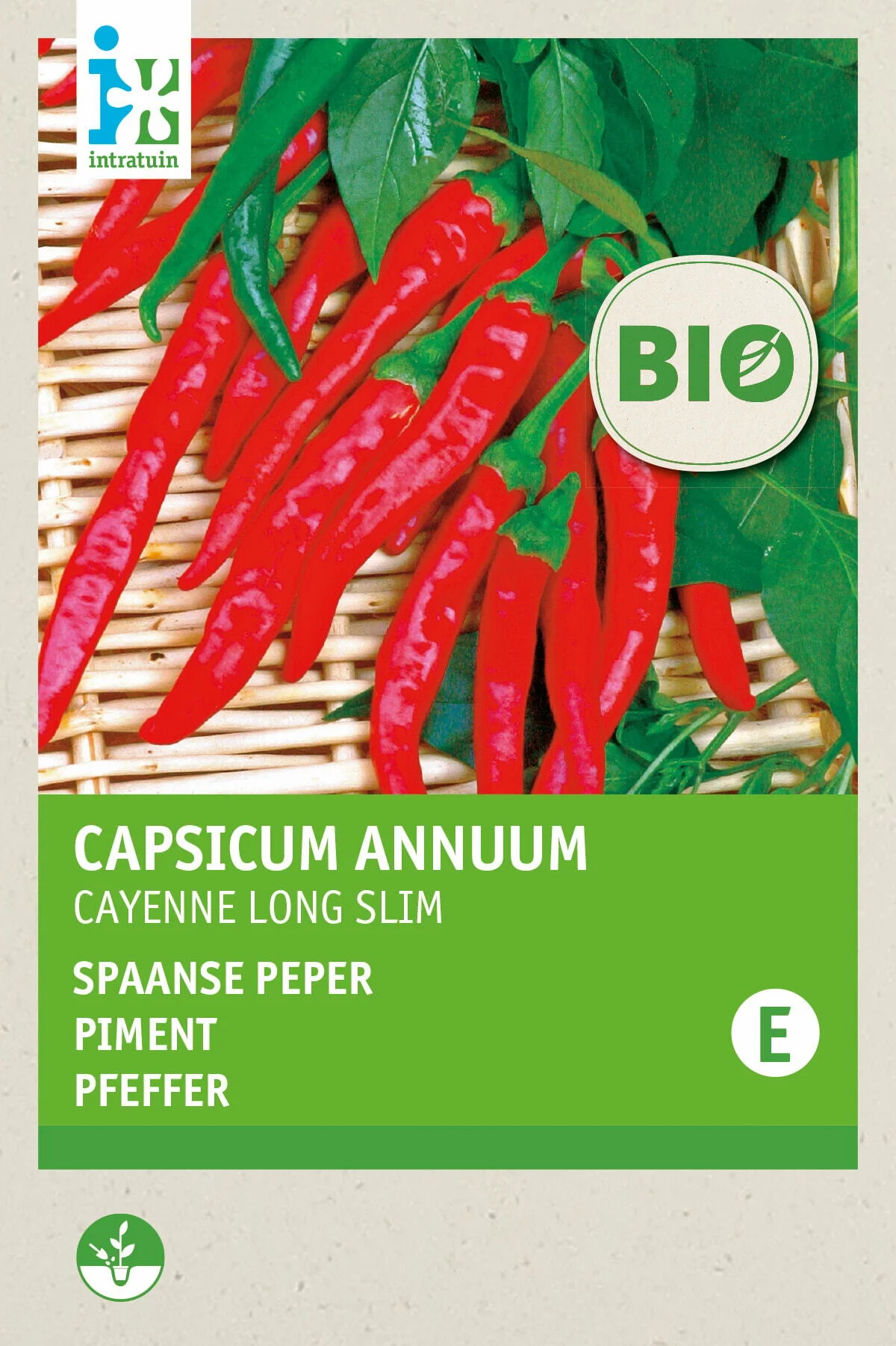 Biologische Intratuin groentezaad Rode spaanse peper (Capsicum annuum 'De Cayenne')