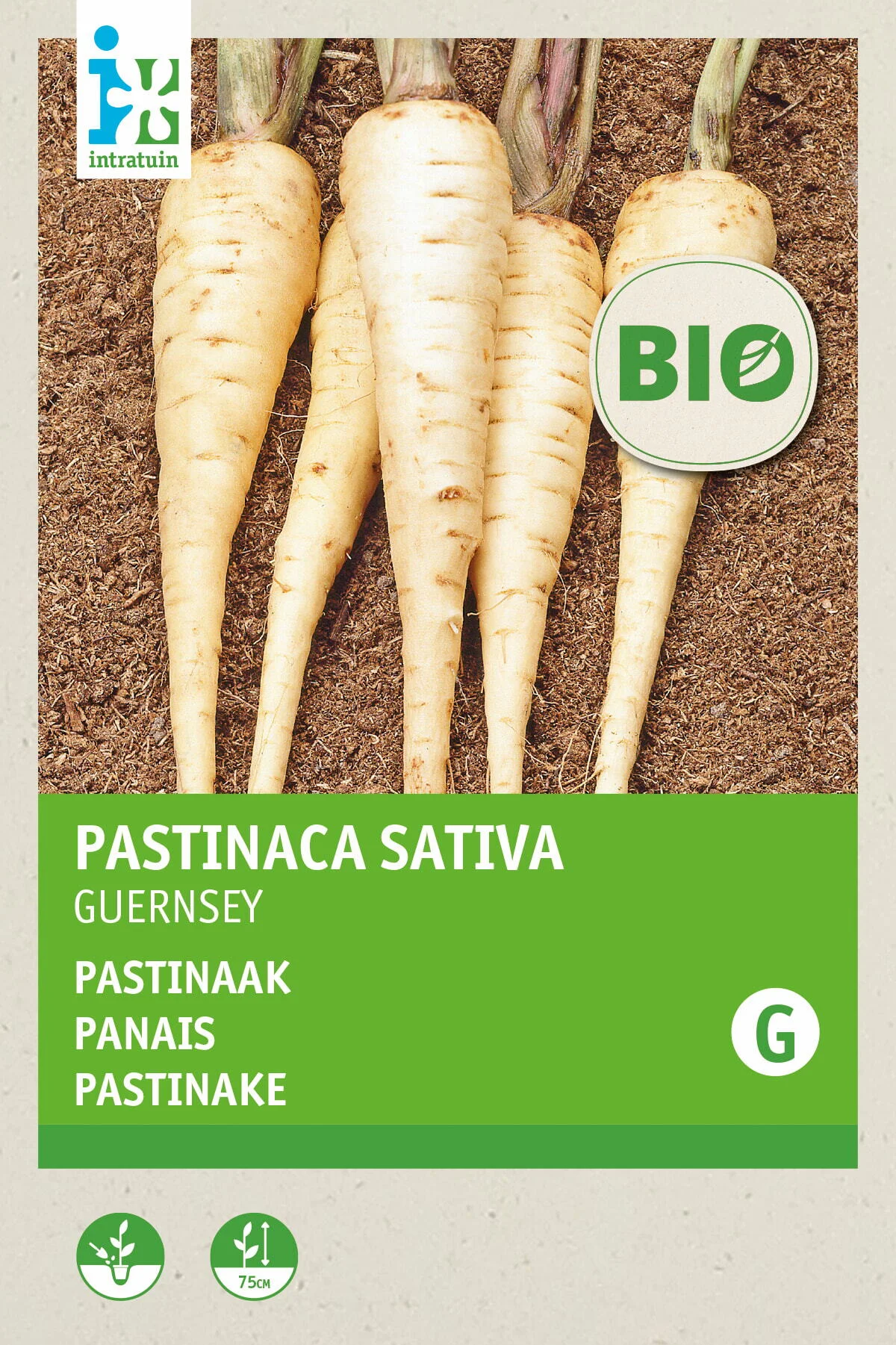 Biologische Intratuin groentezaad Pastinaak (Pastinaca sativa)