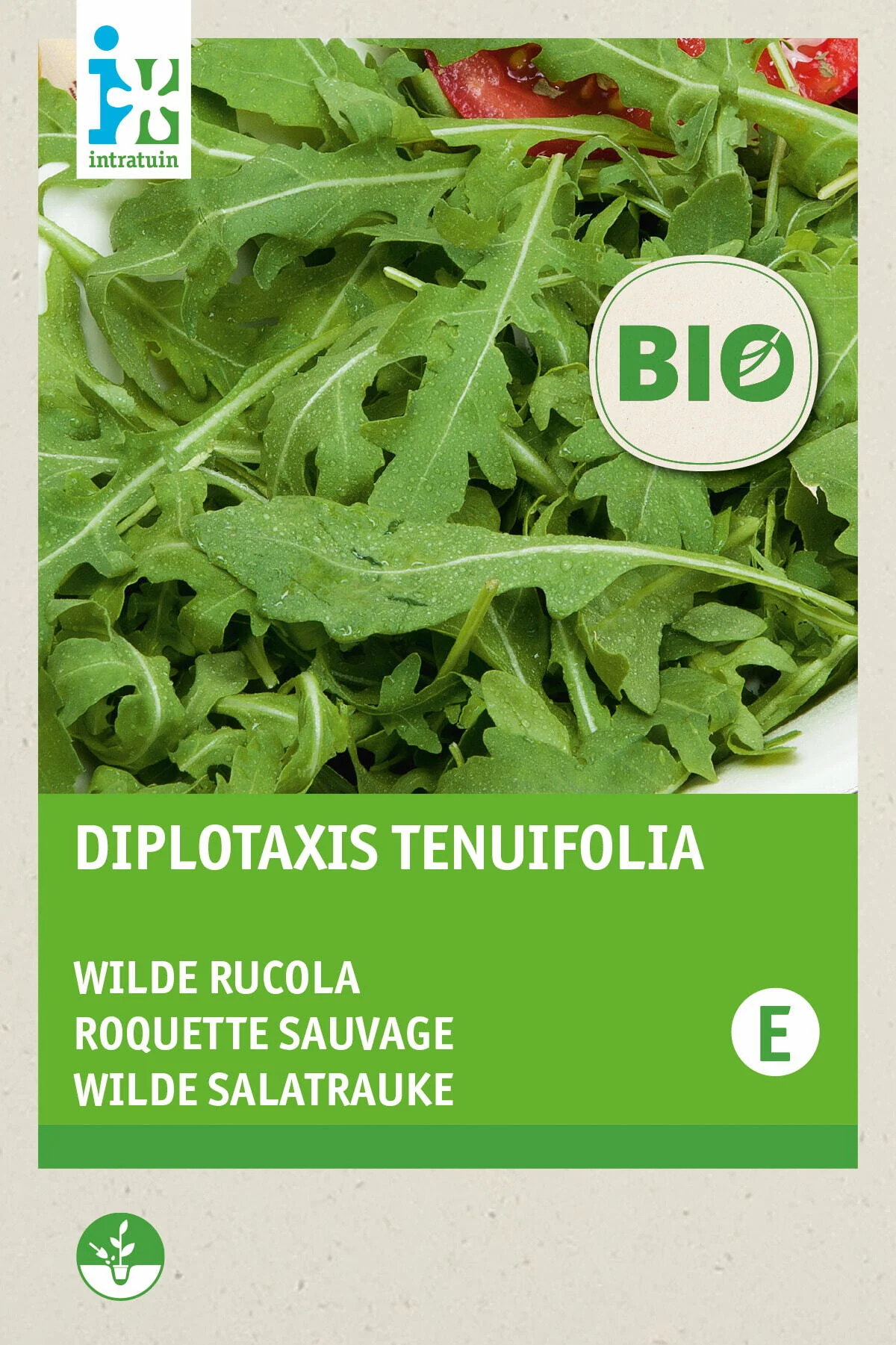 Biologische Intratuin groentezaad wilde rucola (Diplotaxis tenuifolia)