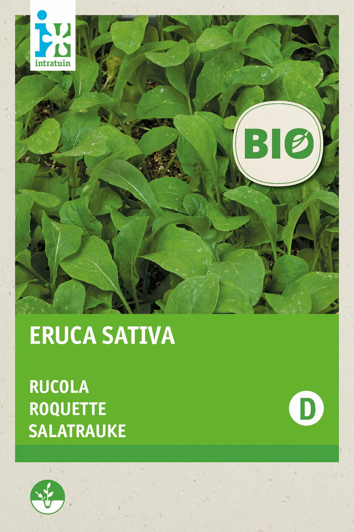 Biologische Intratuin groentezaad Rucola gewone (Eruca sativa)