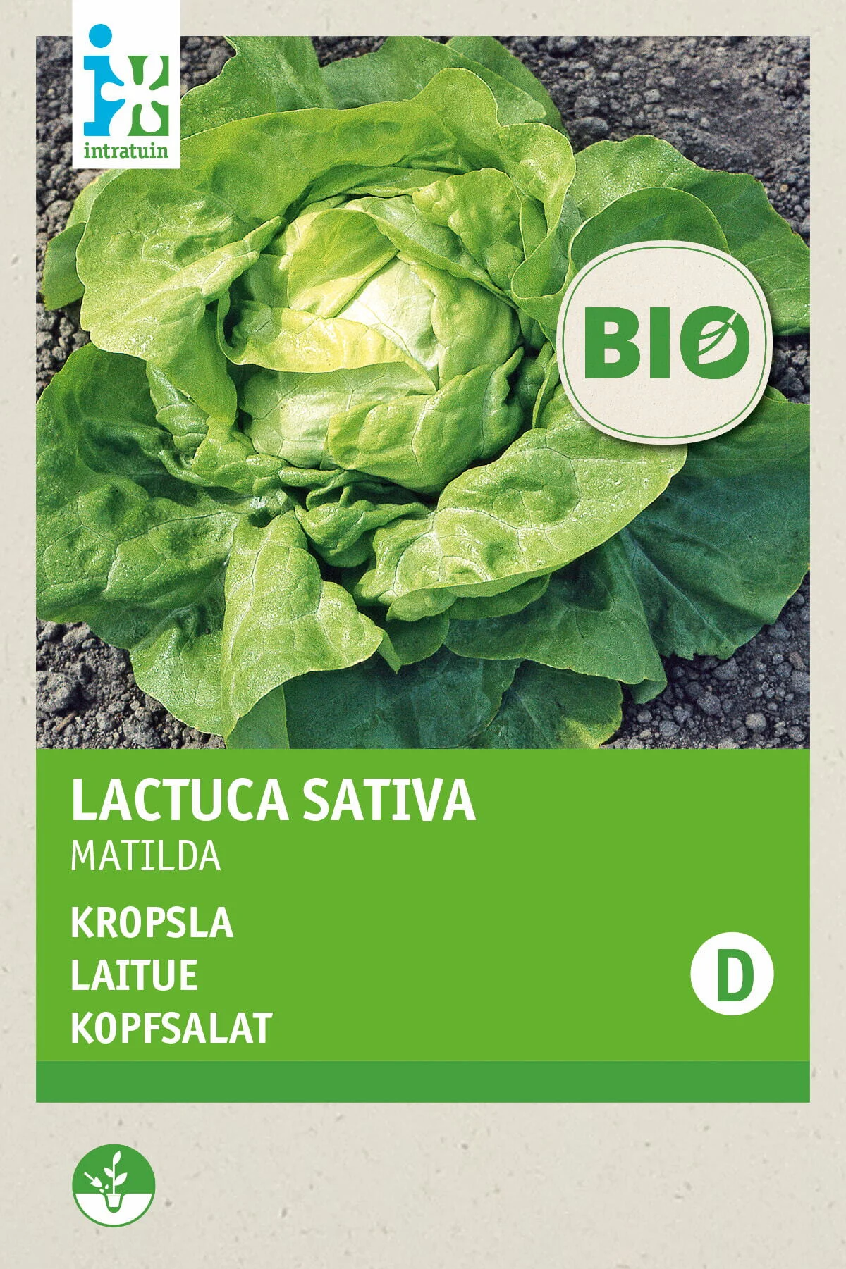 Biologische Intratuin groentezaad Kropsla (Lactuca sativa 'Hilde')