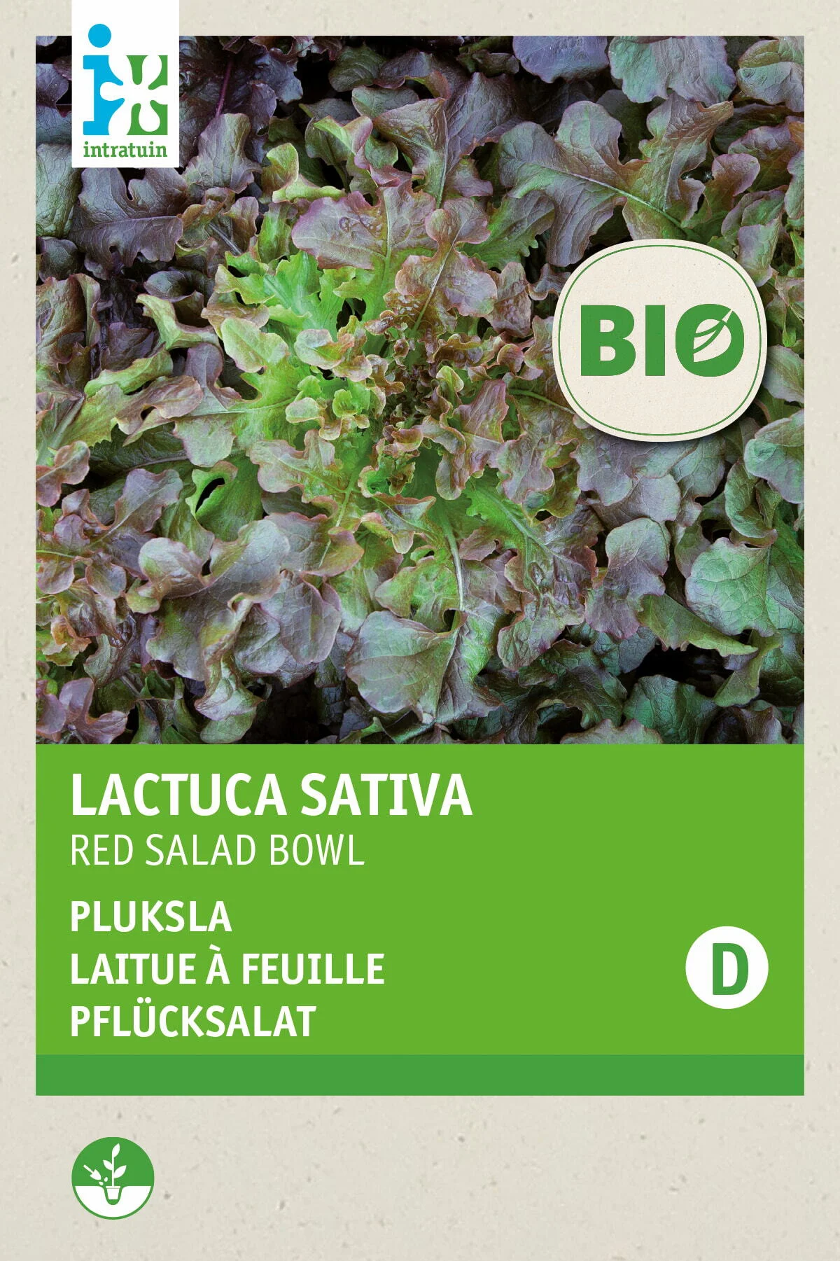 Biologische Intratuin groentezaad Pluksla (Lactuca sativa 'Red Salad Bowl')