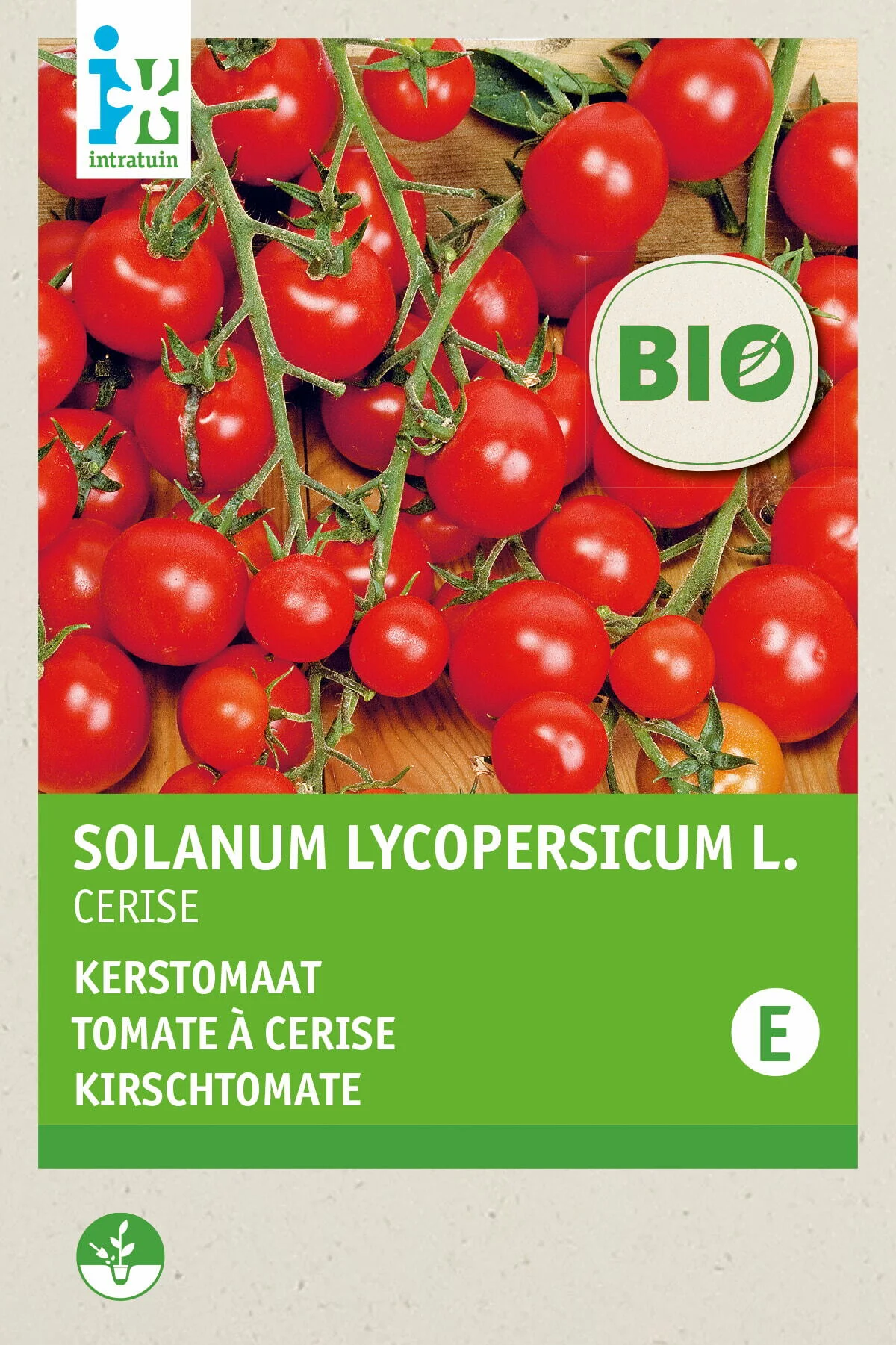 Biologische Intratuin groentezaad Kerstomaten (Solanum lycopersicum 'Cerise')
