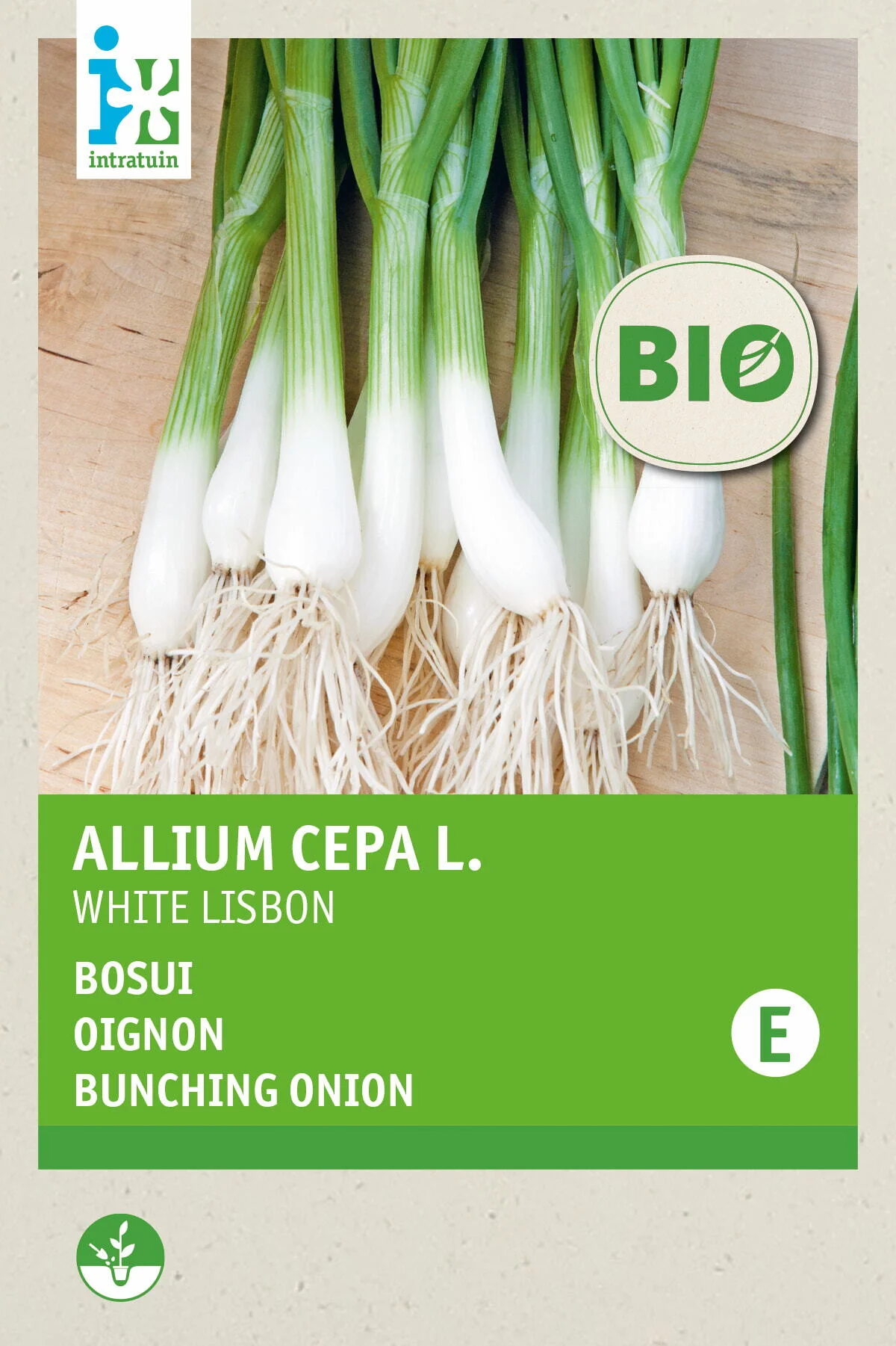 Biologische Intratuin groentezaad Bosuien (Allium cepa 'White Lisbon')