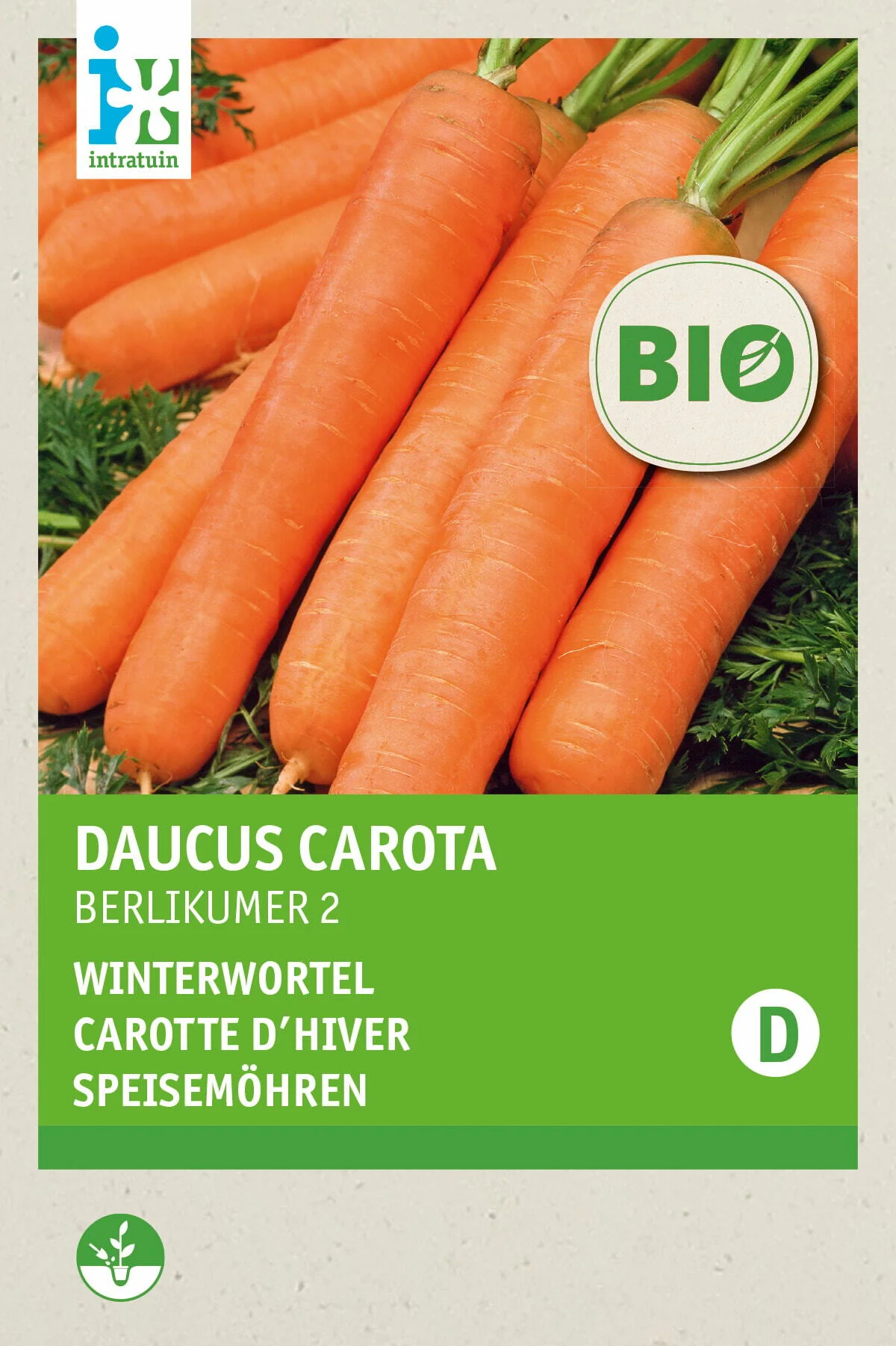 Biologische Intratuin groentezaad Winterwortelen (Daucus carota 'Berlikum 2')