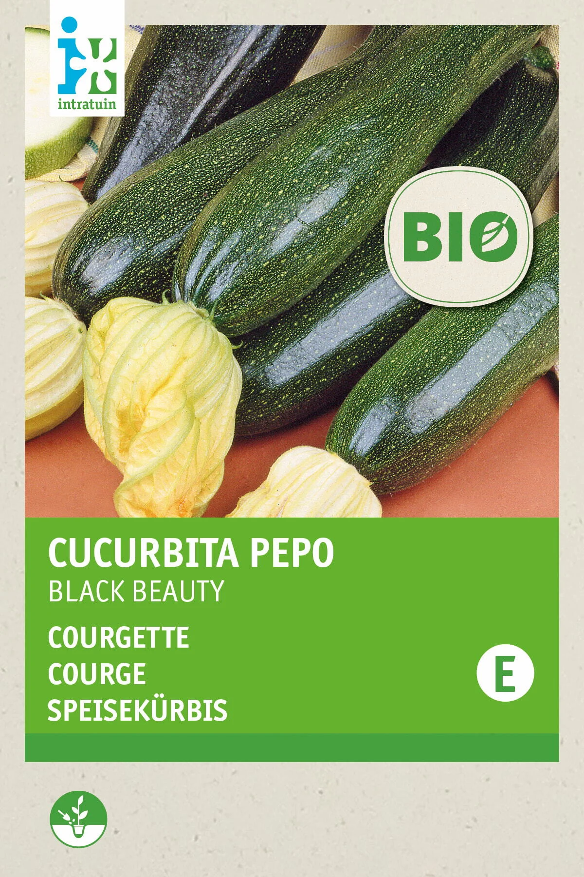 Biologische Intratuin groentezaad courgette (Curcurbita pepo 'Black Beauty')