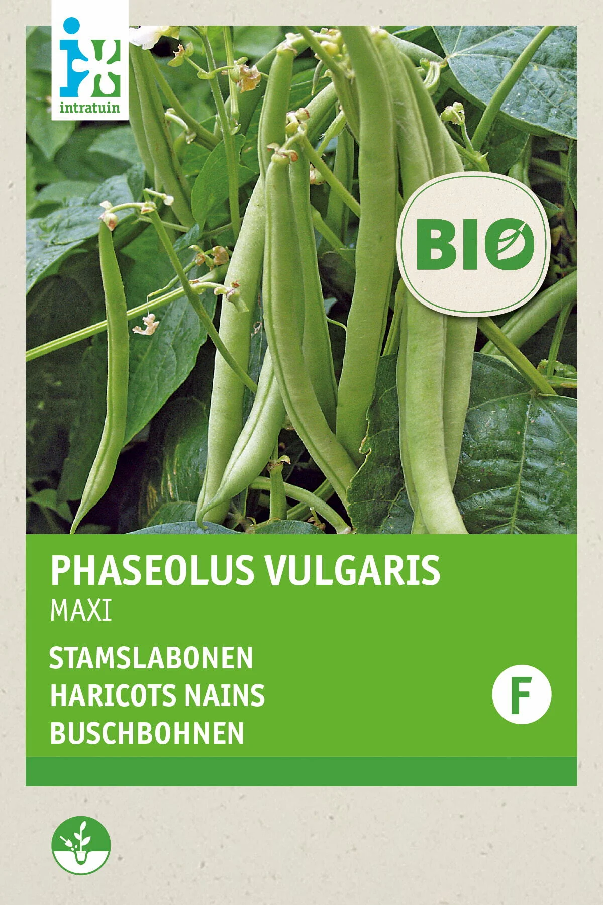 Biologische Intratuin groentezaad Stamslaboon (Phaseolus vulgaris 'Maxi')