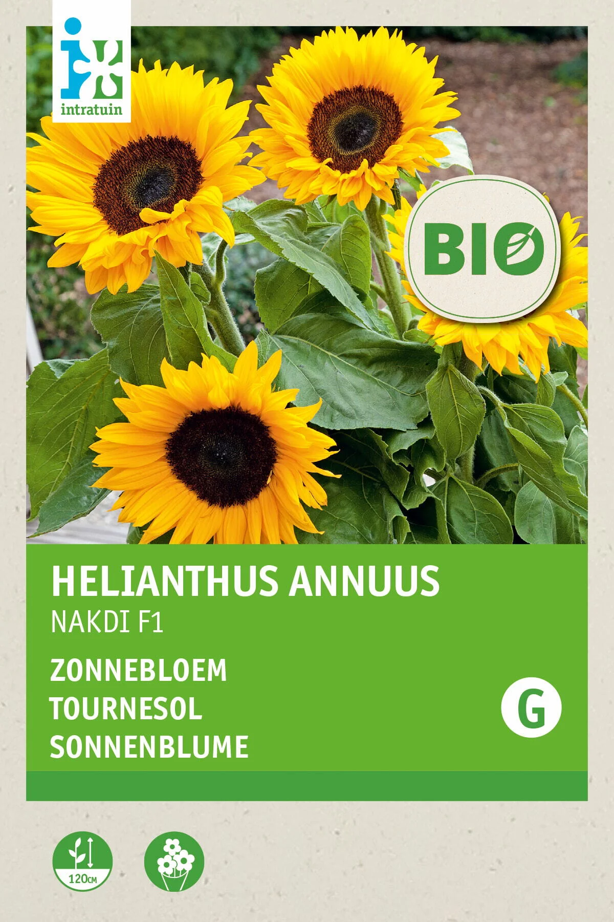 Biologische Intratuin bloemenzaad Zonnebloem (Helianthus annuus 'Zohar F1')