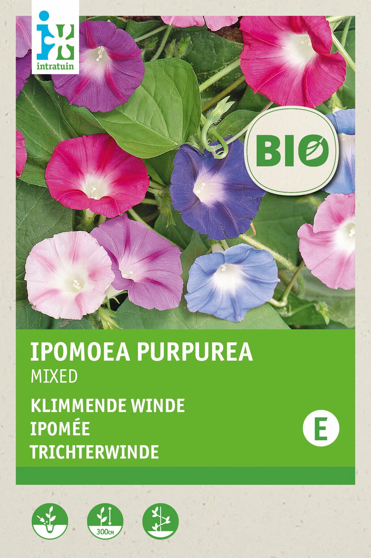 Biologische Intratuin bloemenzaad Dagbloem gemengd (Ipomoea purpurea )