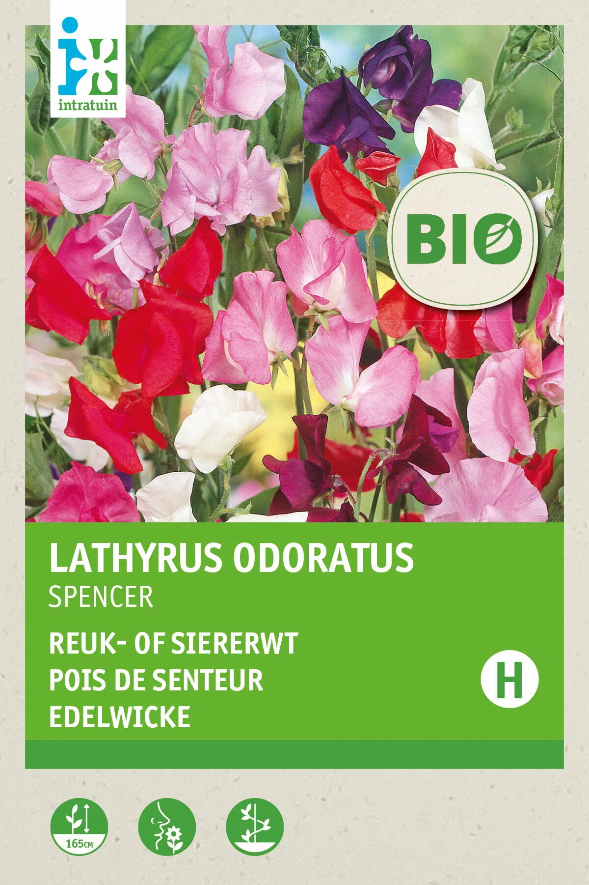 Biologische Intratuin bloemenzaad pronkerwt (Lathyrus odoratus 'Spencer')