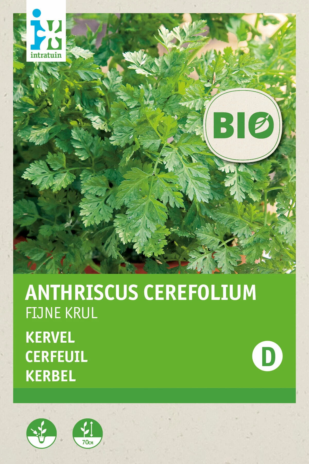Biologische Intratuin kruidenzaad Kervel fijne krul (Anthriscus cerefolium)