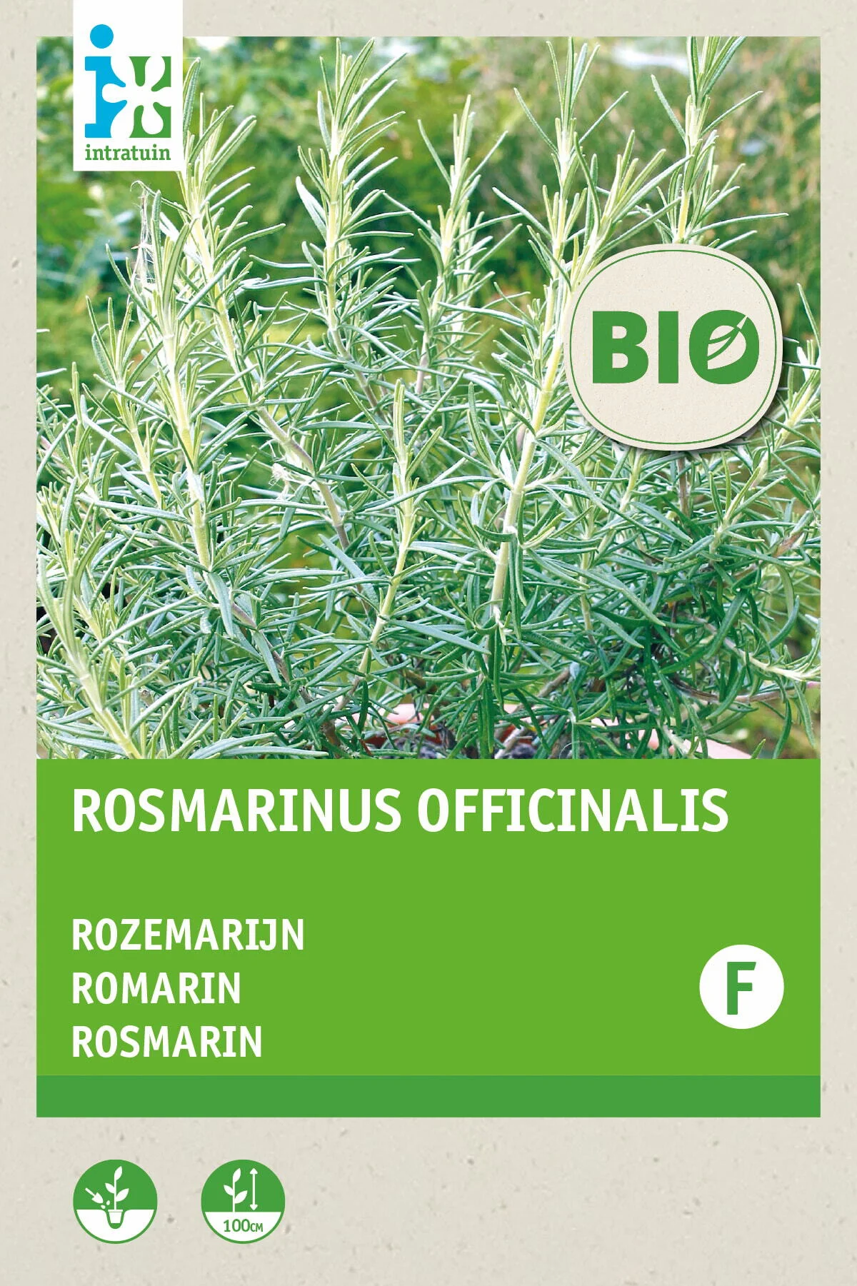 Biologische Intratuin kruidenzaad Rozemarijn (Rosmarinus officinalis)
