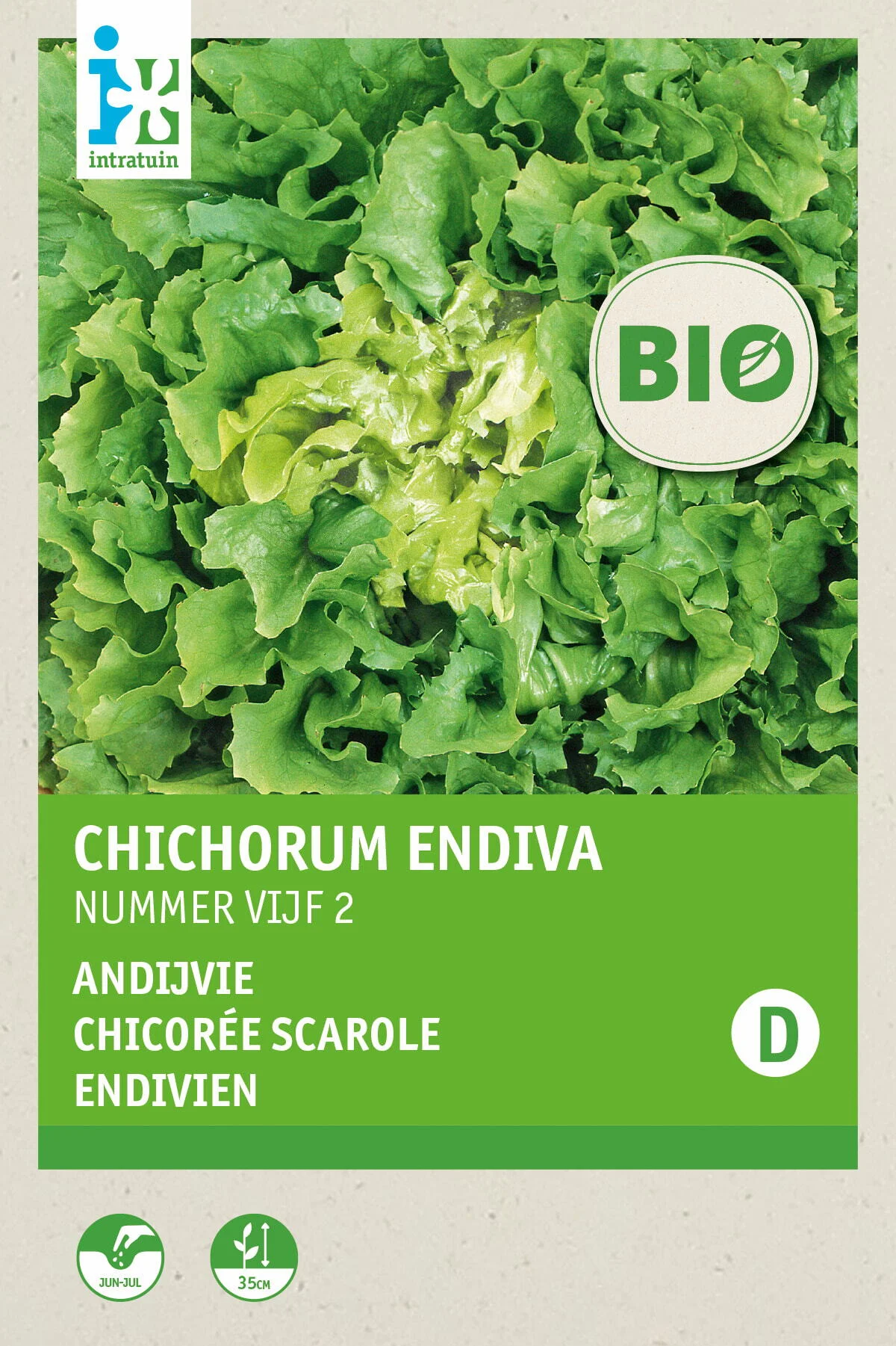Biologische Intratuin groentezaad Andijvie (Cichorium endivia 'Nummer vijf 2')