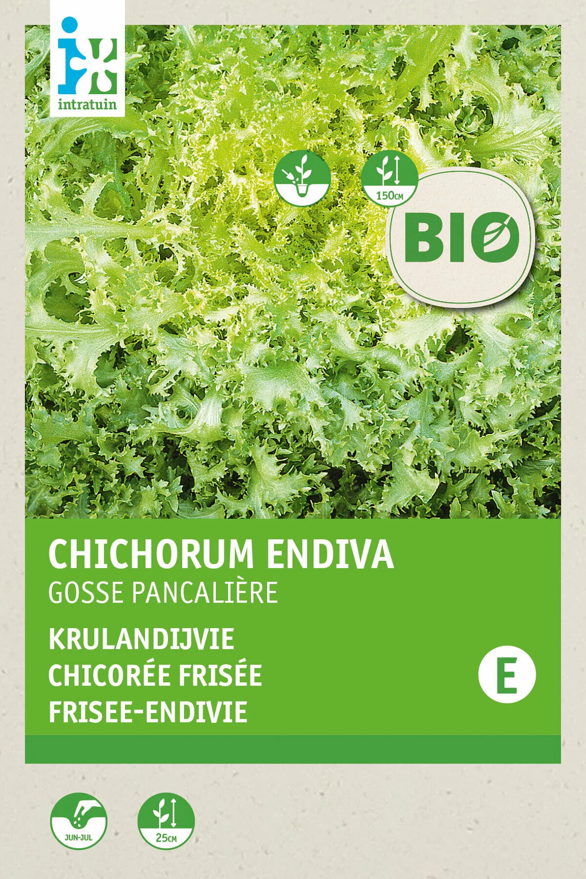 Biologische Intratuin groentezaad Krulandijvie (Cichorium endivia 'Grosse Pancaliere')