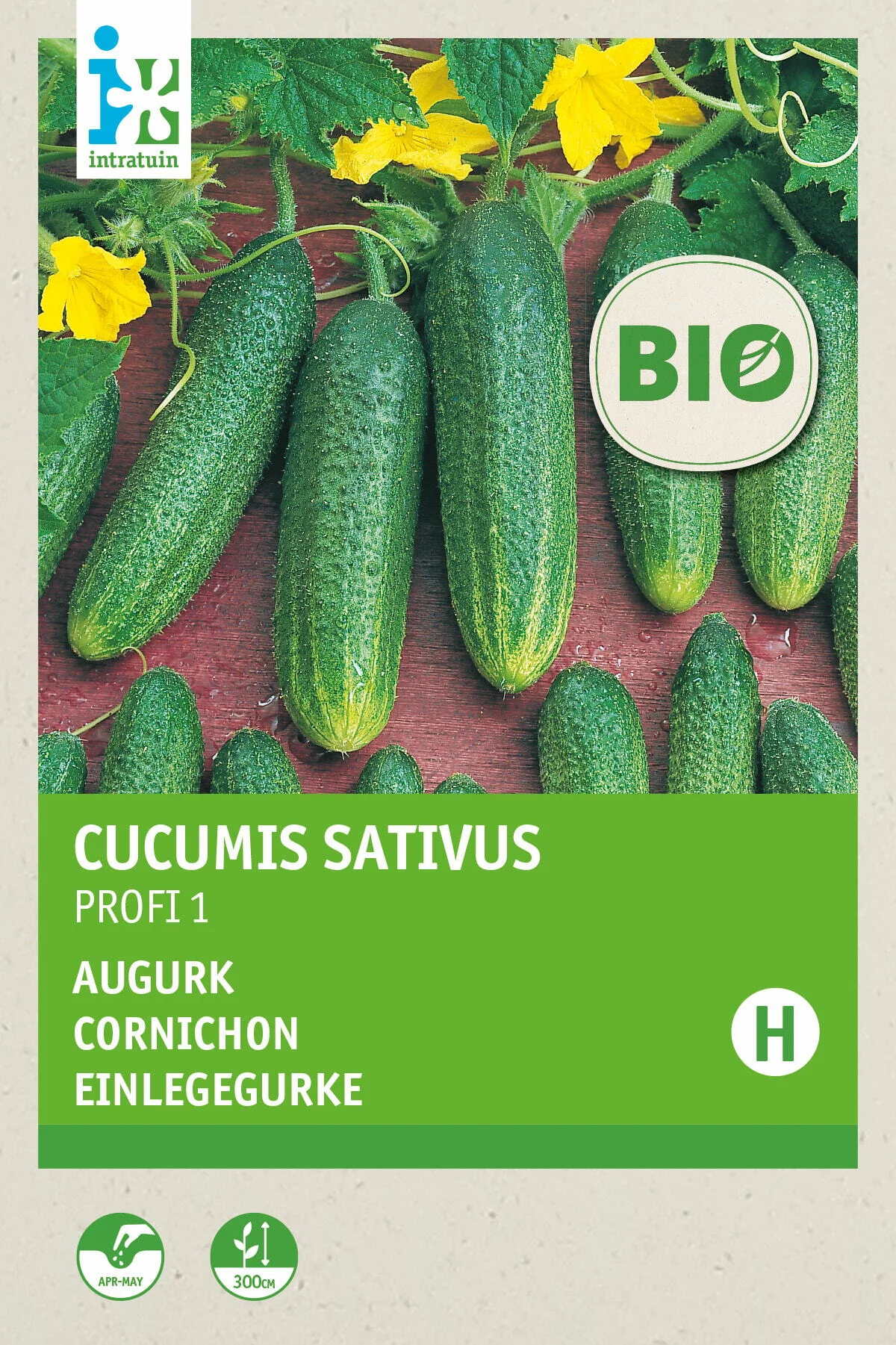 Biologische Intratuin groentezaad augurk (Cucumis sativus 'Profi F1')