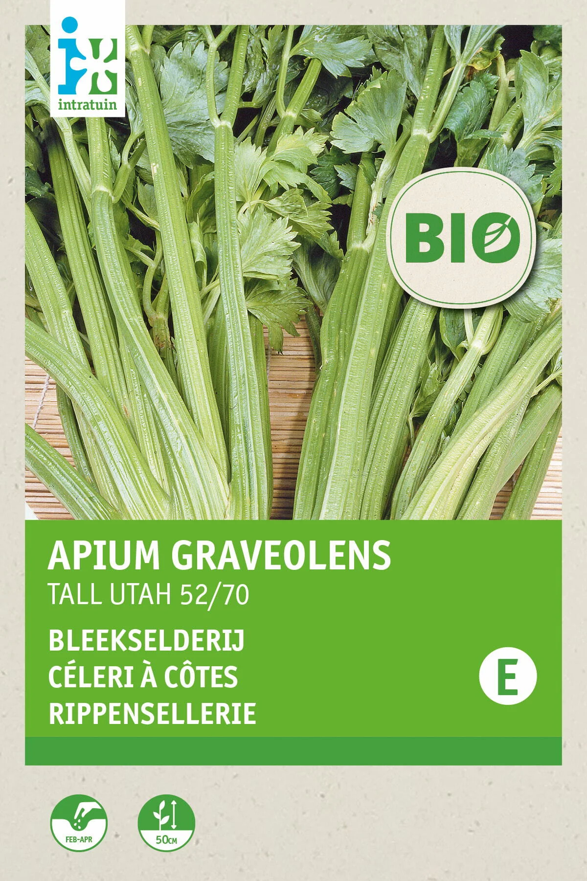 Biologische Intratuin groentezaad Bleekselderij (Apium graveolens 'Tall Utah 52/70')