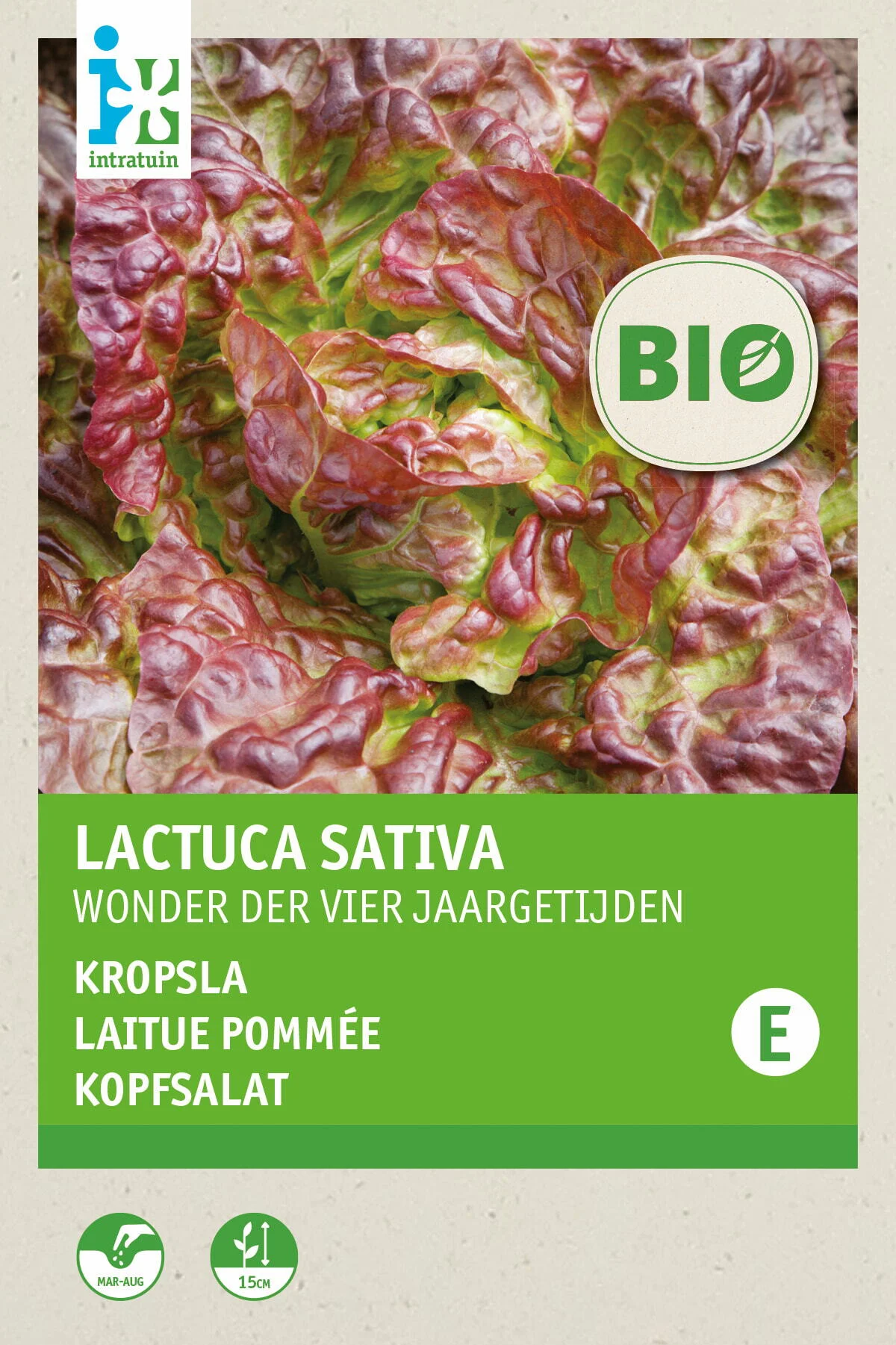 Biologische Intratuin groentezaad Kropsla (Lactuca sativa 'Wonder der Vier Jaargetijden')