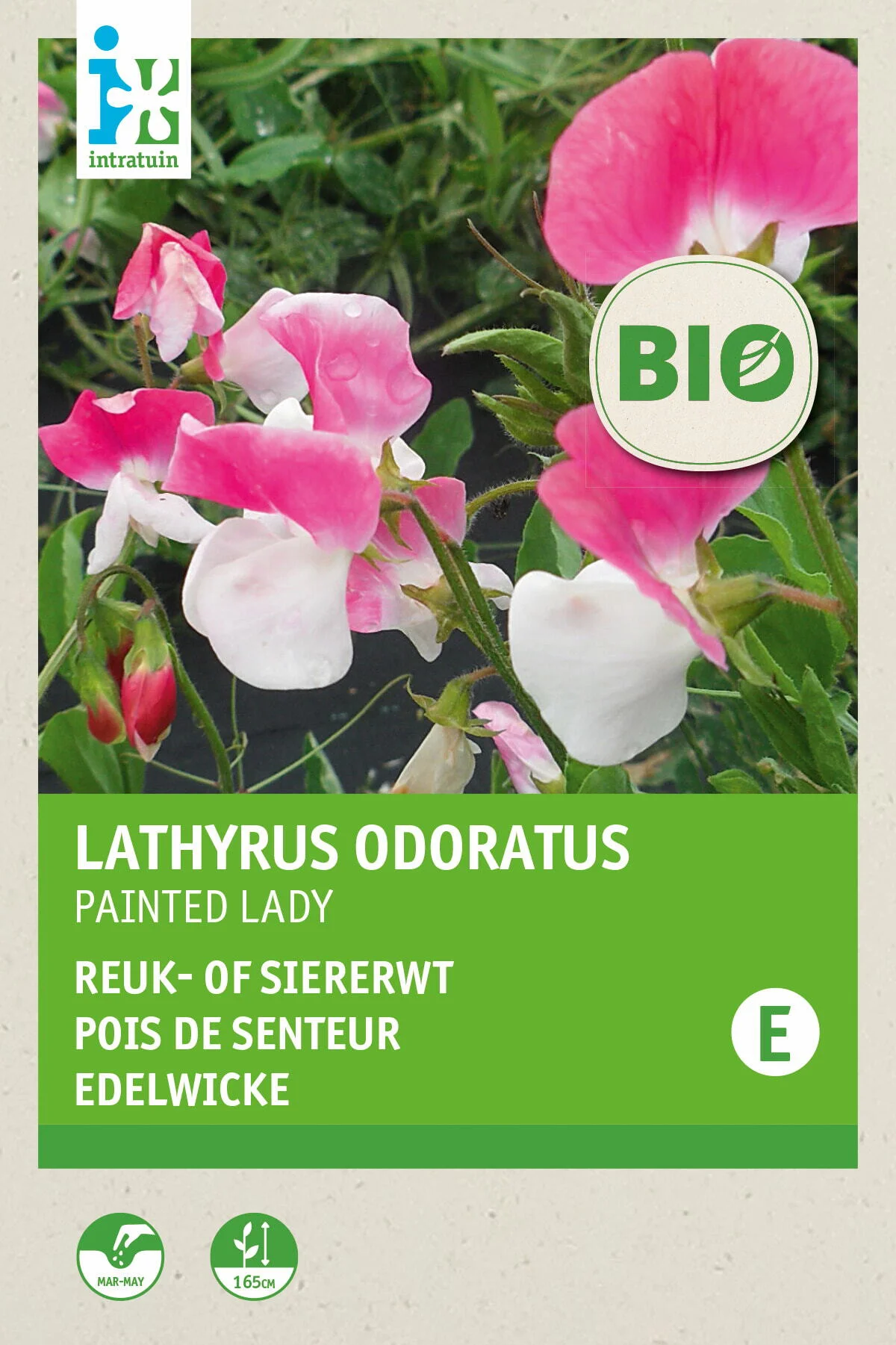 Biologische Intratuin bloemenzaad pronkerwt roze (Lathyrus odoratus 'Painted Lady')