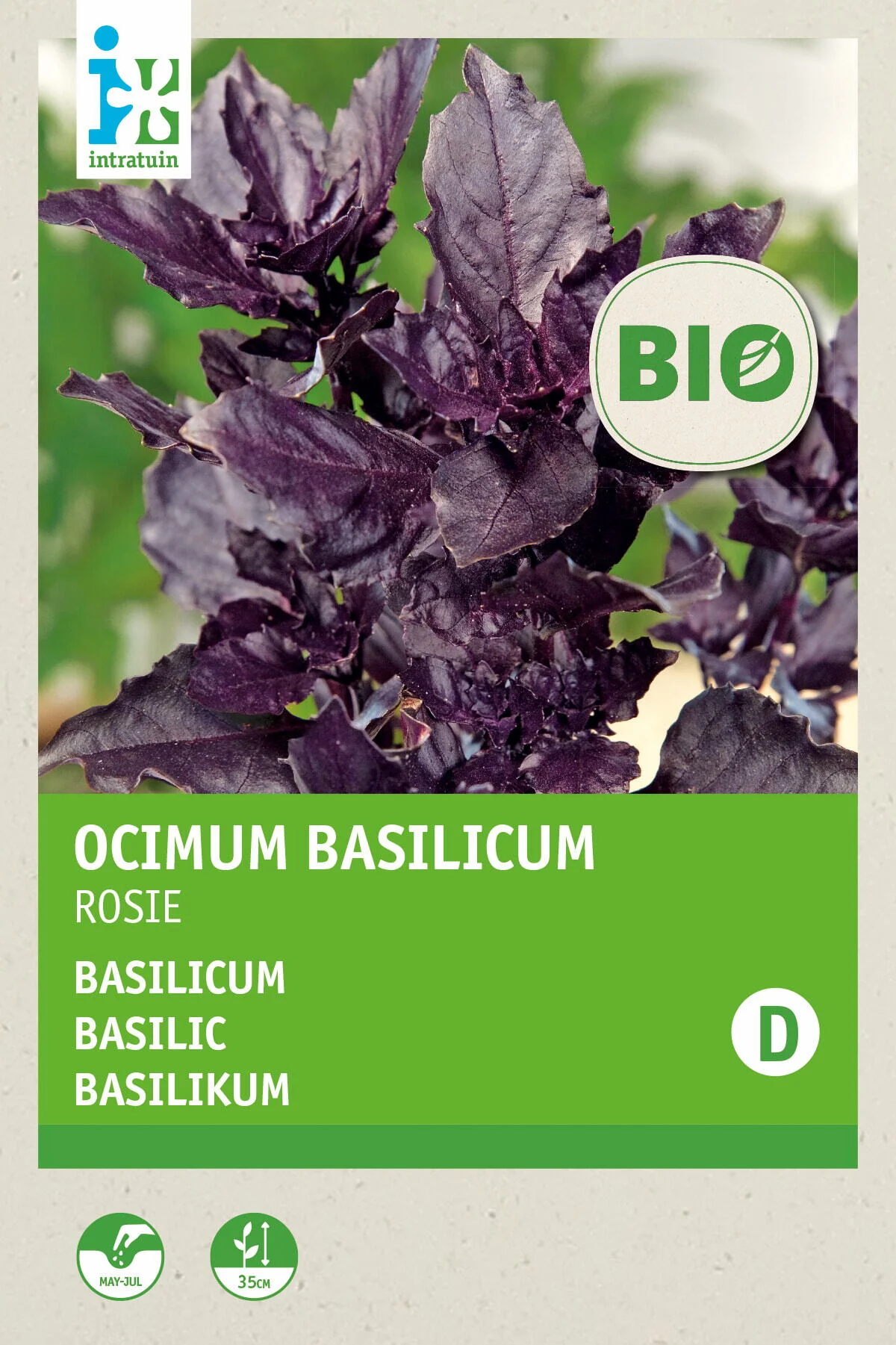 Biologische Intratuin kruidenzaad basilicum (Ocimum basilicum 'Genovese')