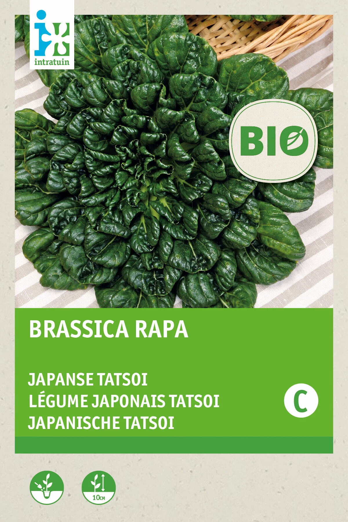 Biologische Intratuin groentezaad Tatsoi (Brassica narinosa)
