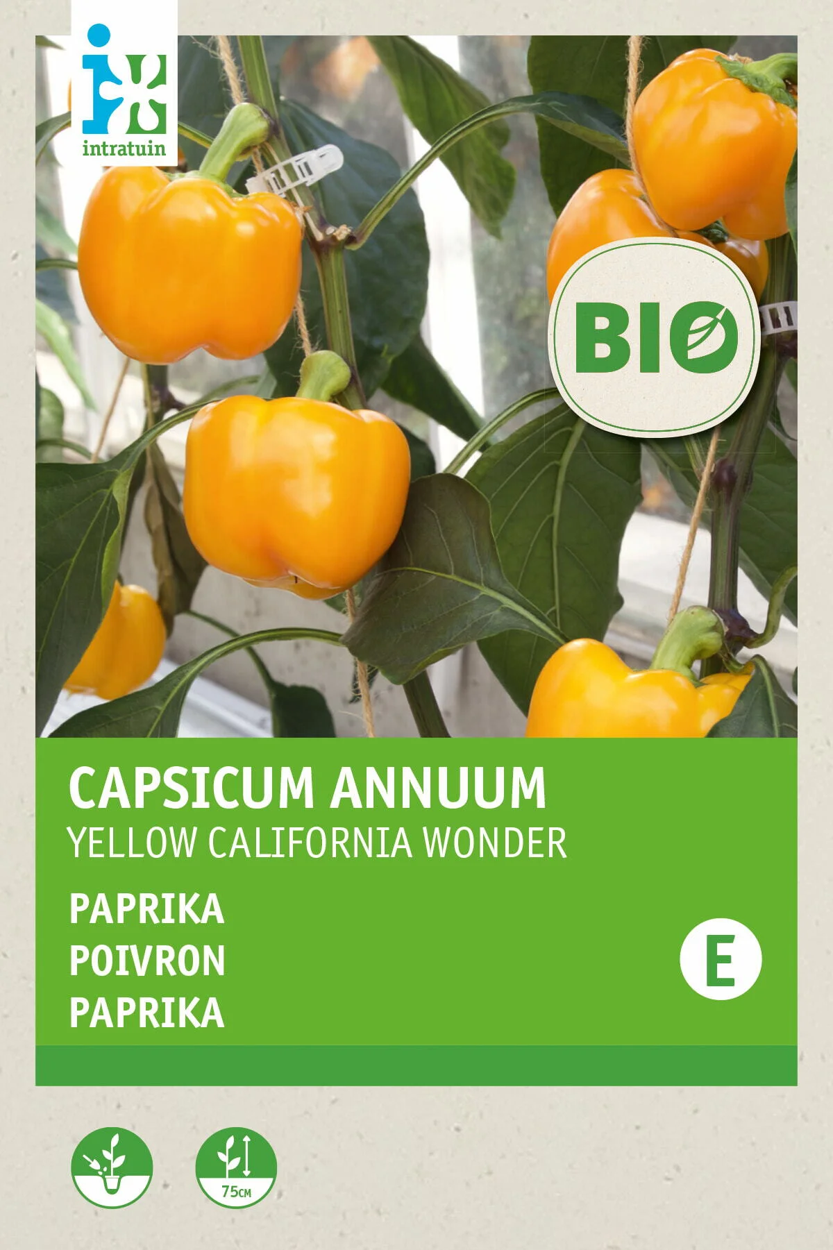 Biologische Intratuin groentezaad Paprika (Capsicum annuum 'Yellow California Wonder')