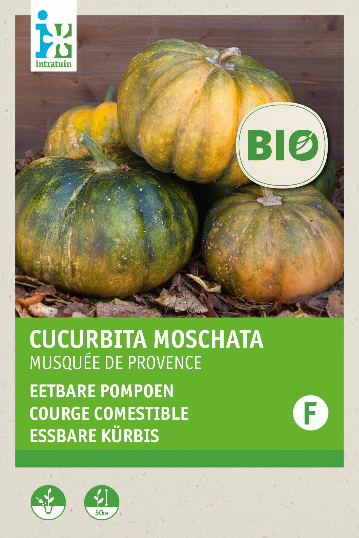 Biologische Intratuin groentezaad Muskaat pompoen eetbaar (Cucurbita moschata 'Musquee de Procence')