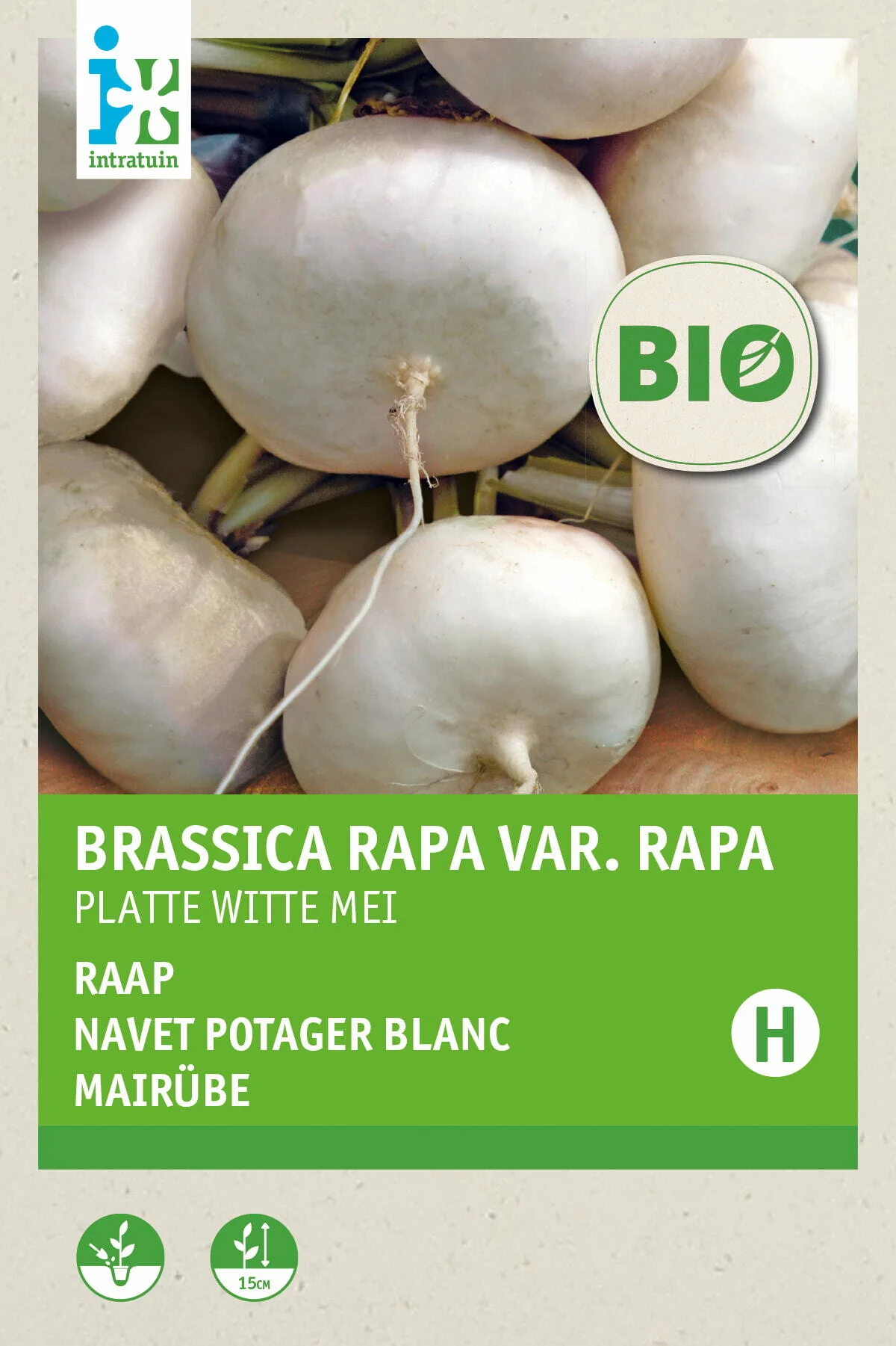 Biologische Intratuin groentezaad Raap (Brassica rapa 'Platte Witte Mei')
