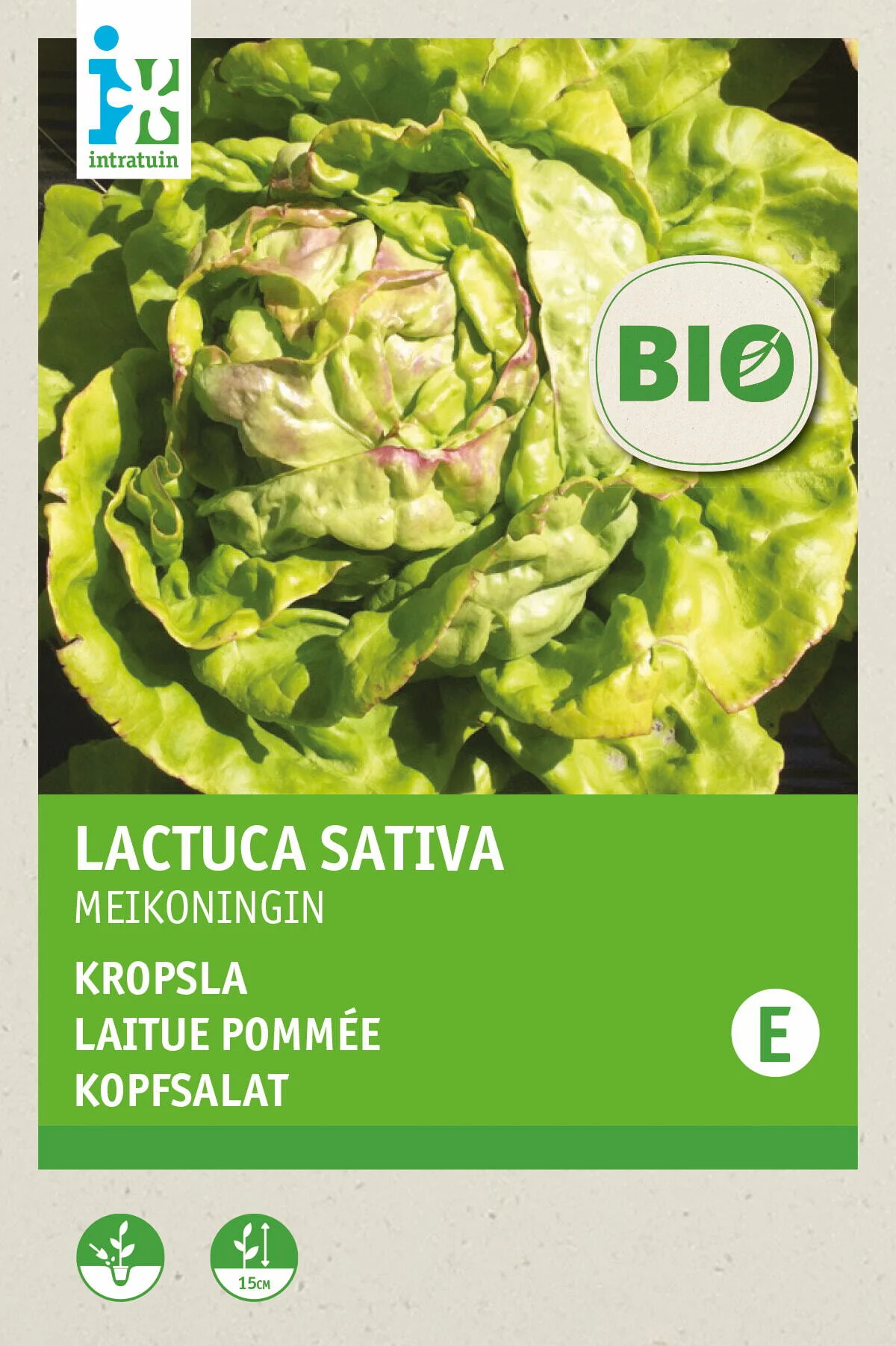 Biologische Intratuin groentezaad Kropsla (Lactuca savita 'Meikoningin')