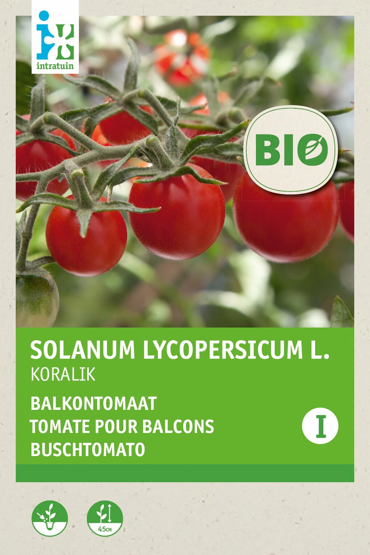 Biologische Intratuin groentezaad Tomaat (Solanum lycopersicum 'Koralik')