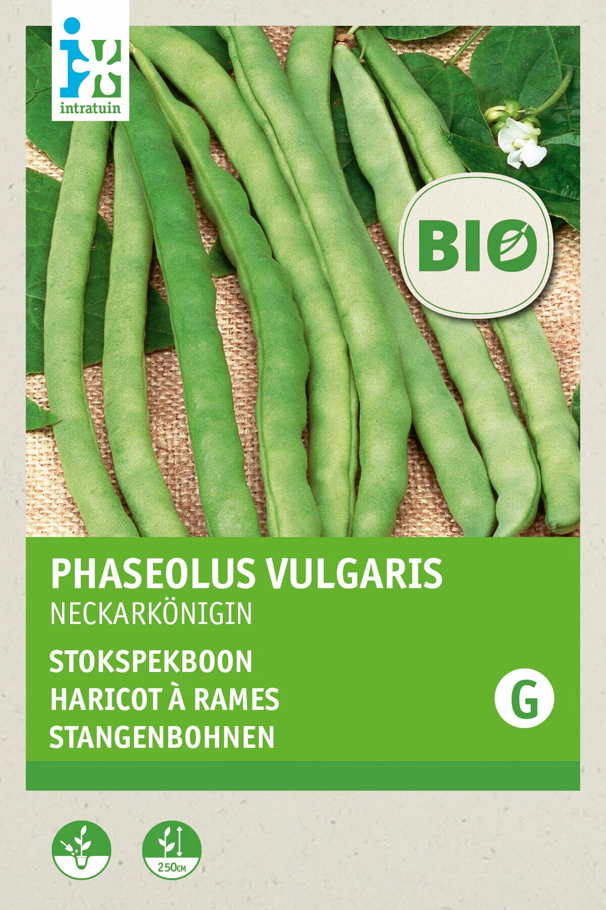 Biologische Intratuin groentezaad Stokspekboon (Phaseolus vulgaris 'Neckarkönigin')